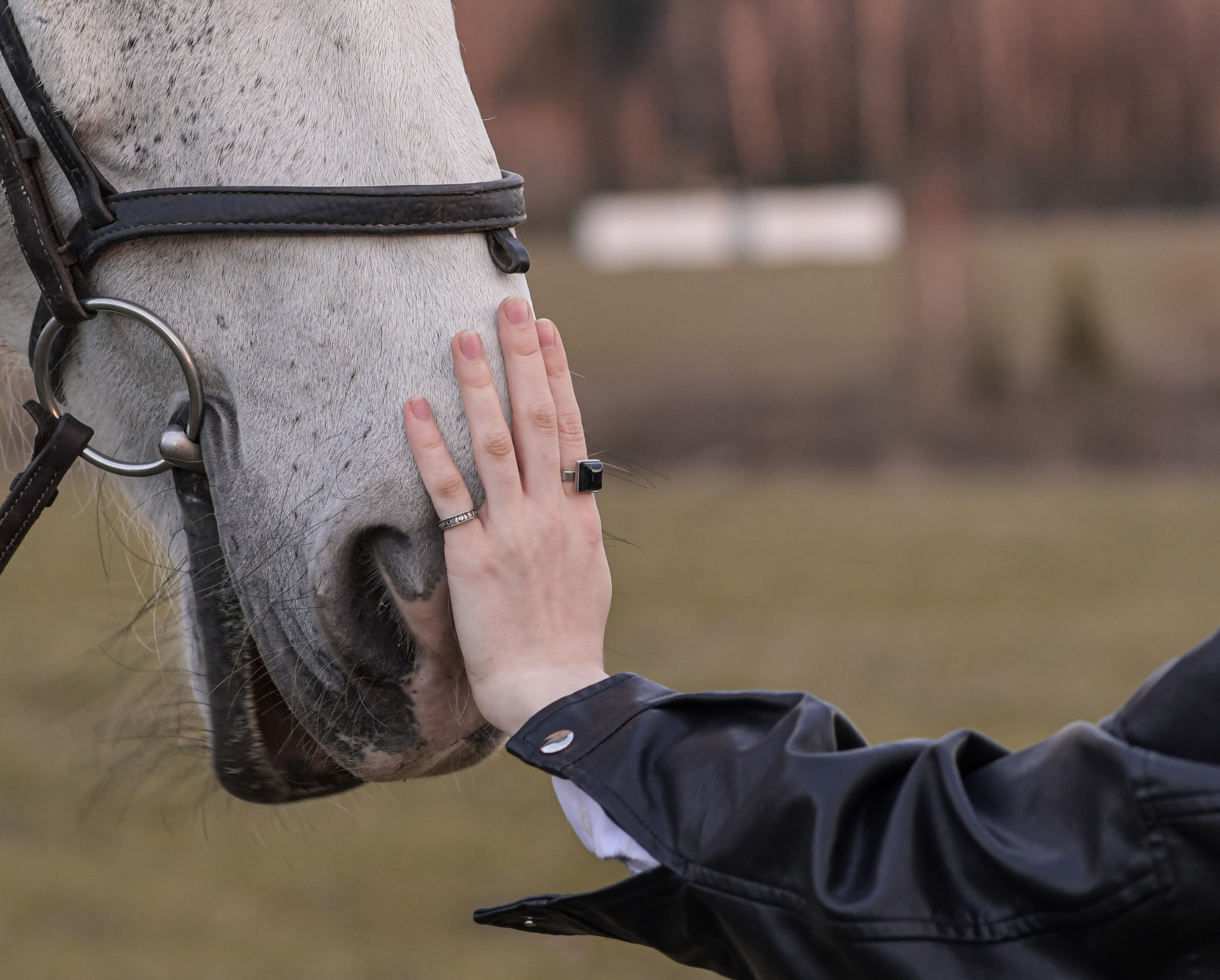 В созвучии с природой. Фотограф Светлана В. Пронина, Москва