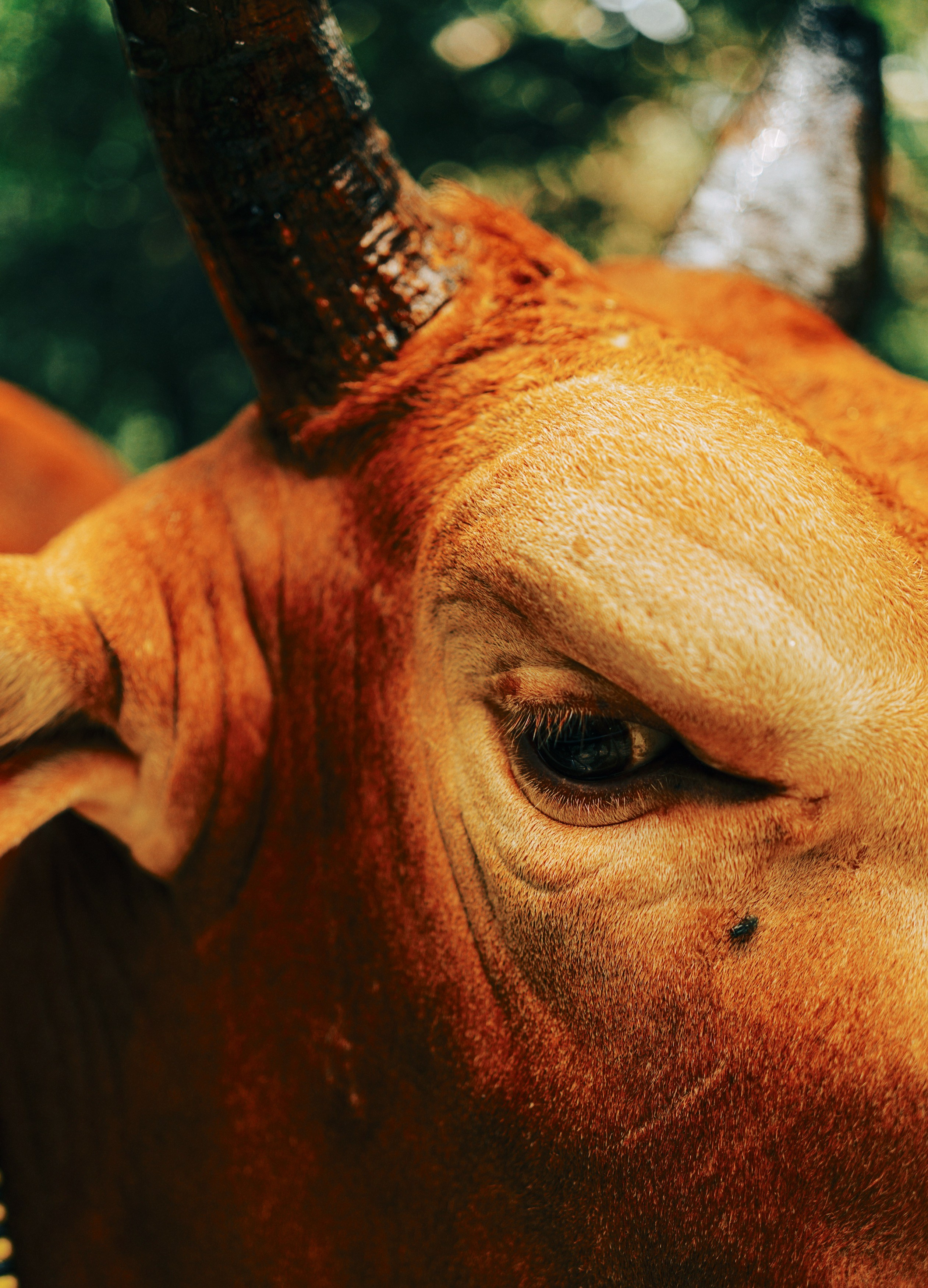 AUTHENTIC FILM. Visual artist Daniil Kontorovich