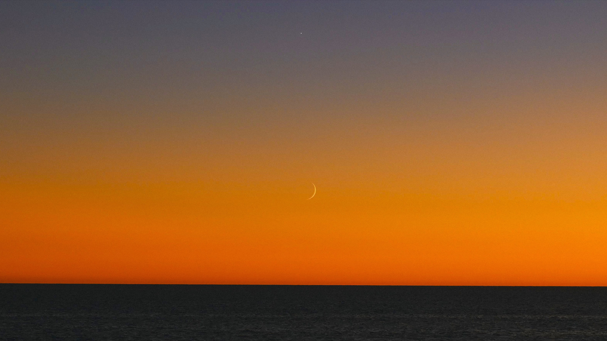 «Настоящая Любовь!» Кино о свадьбе Софьи и Александра. Tuman Film | Видеосъемка в Сочи и Дубае | Андрей Калитухо