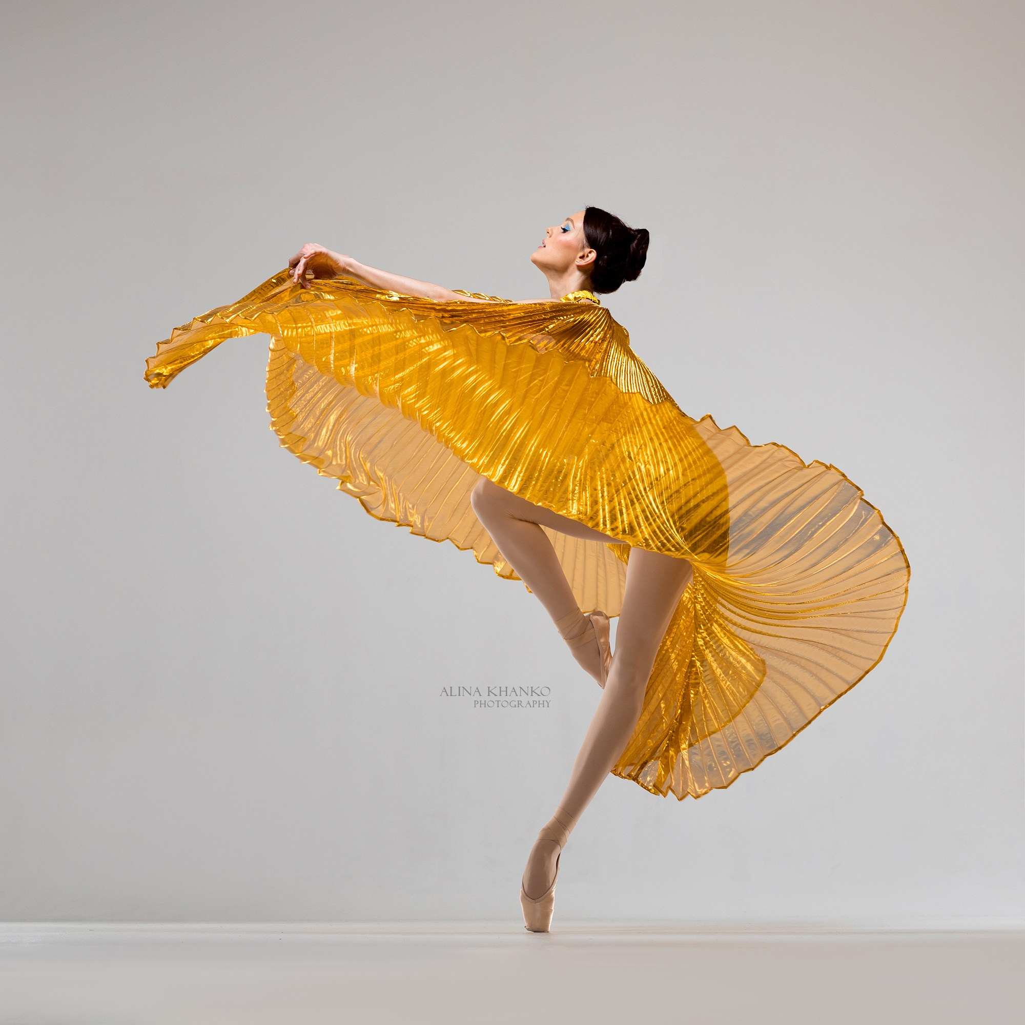 Крылья золотые напрокат бесплатно. Балетный фотограф Алина Ханько — Душа Балета