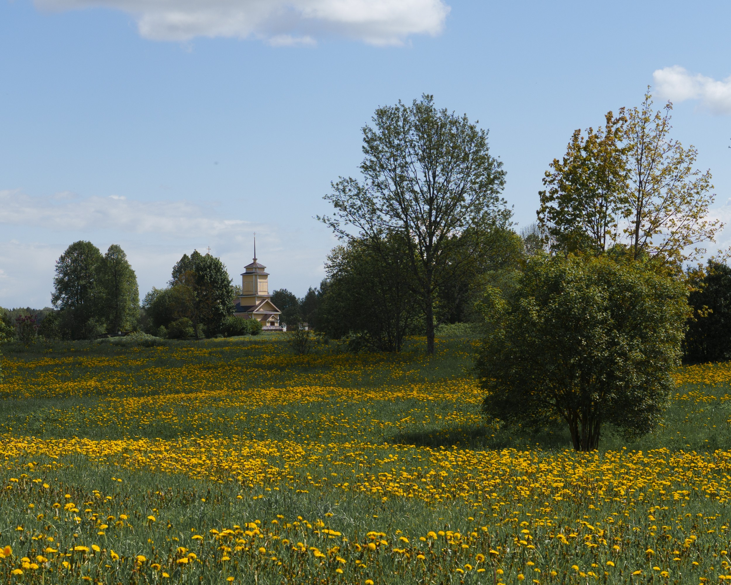 Landscape with a church in Trigorskoye, Pushkinogorye Museum-Reserve