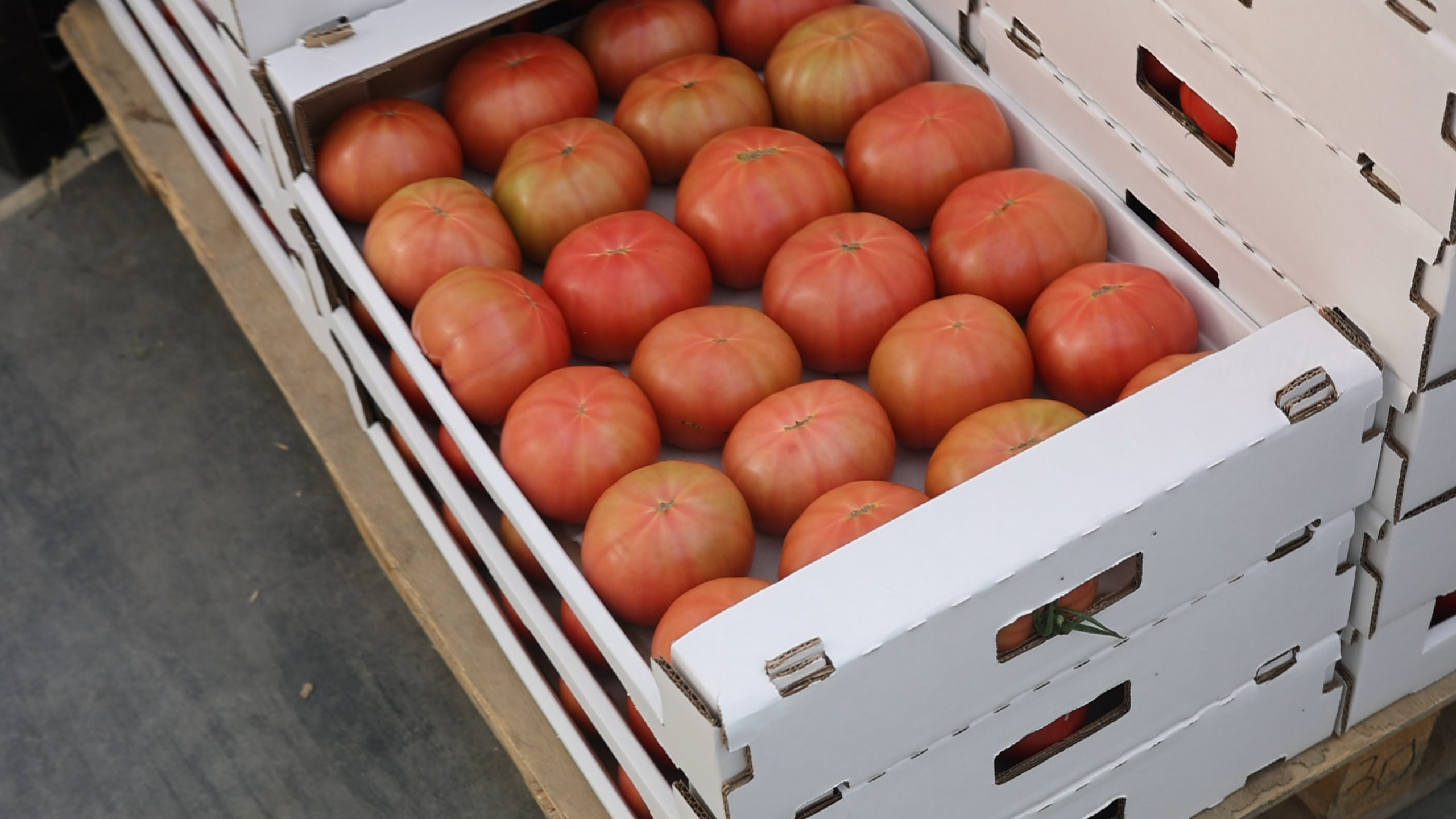 БИОЭНЕРГИЯ — Производство субстрата для теплиц, маты для выращивания