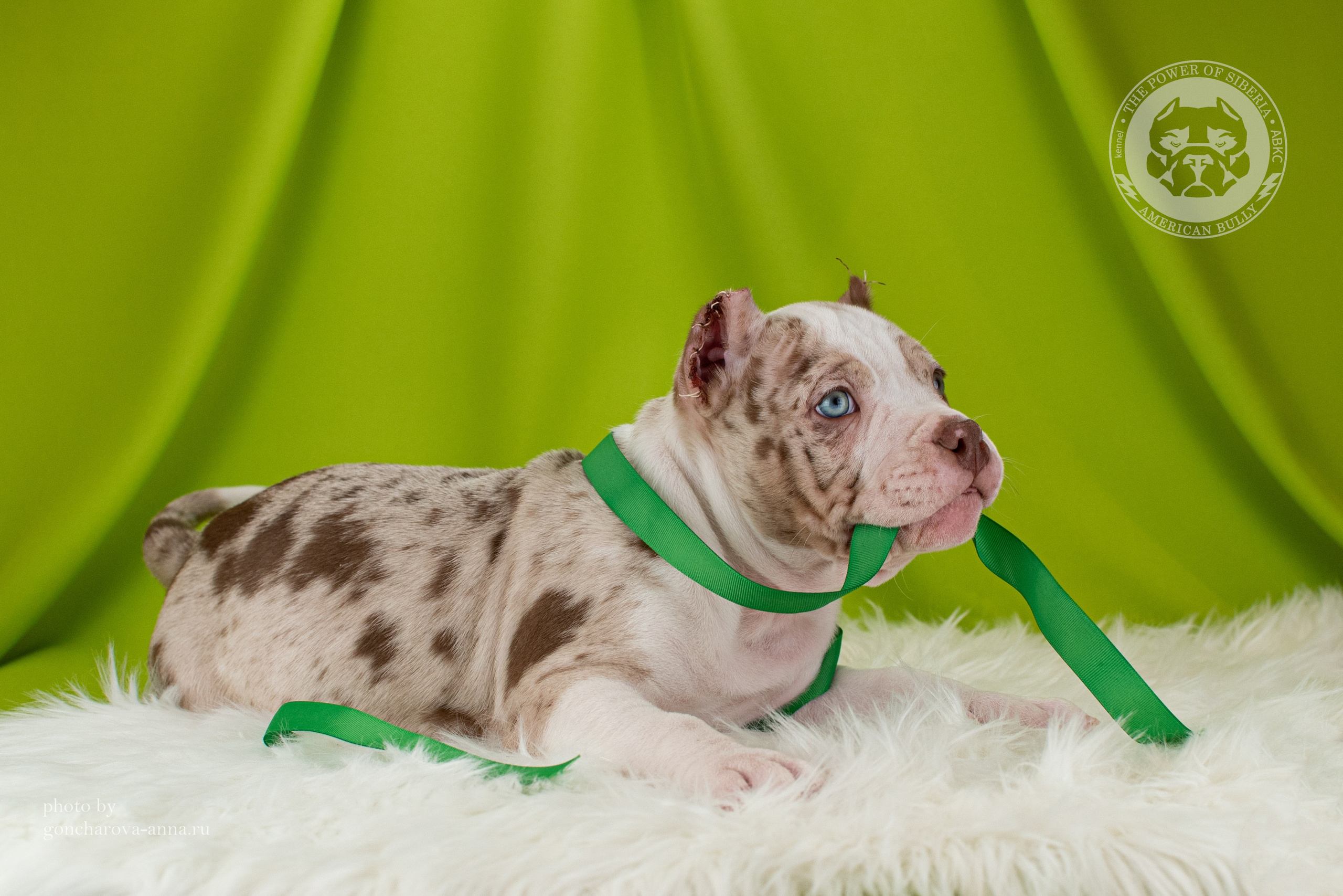 продажа амбулли в Иркутске