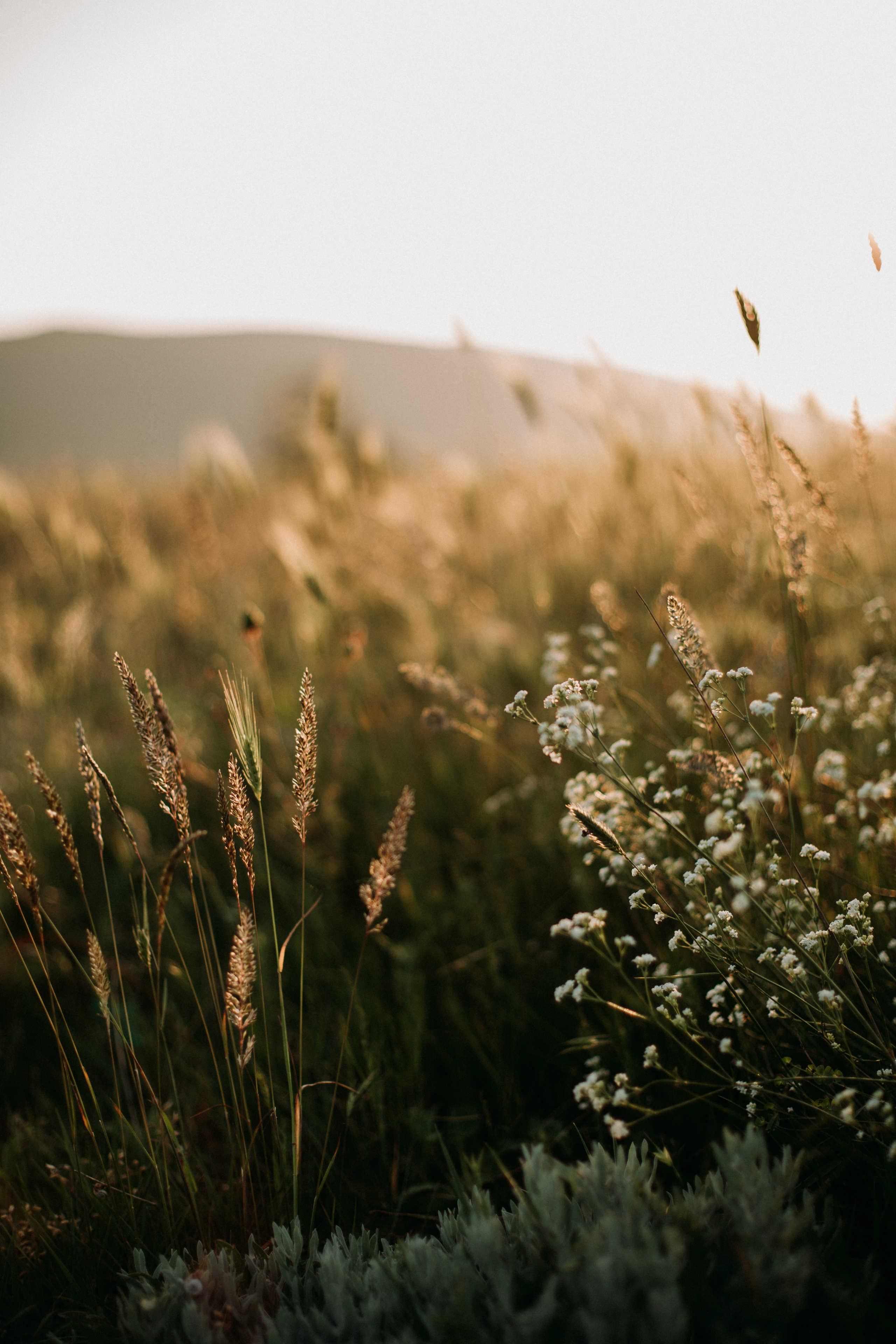 Дороги земли ветров. Портретный фотограф в Москве и Геленджике Кирилл Вахитов