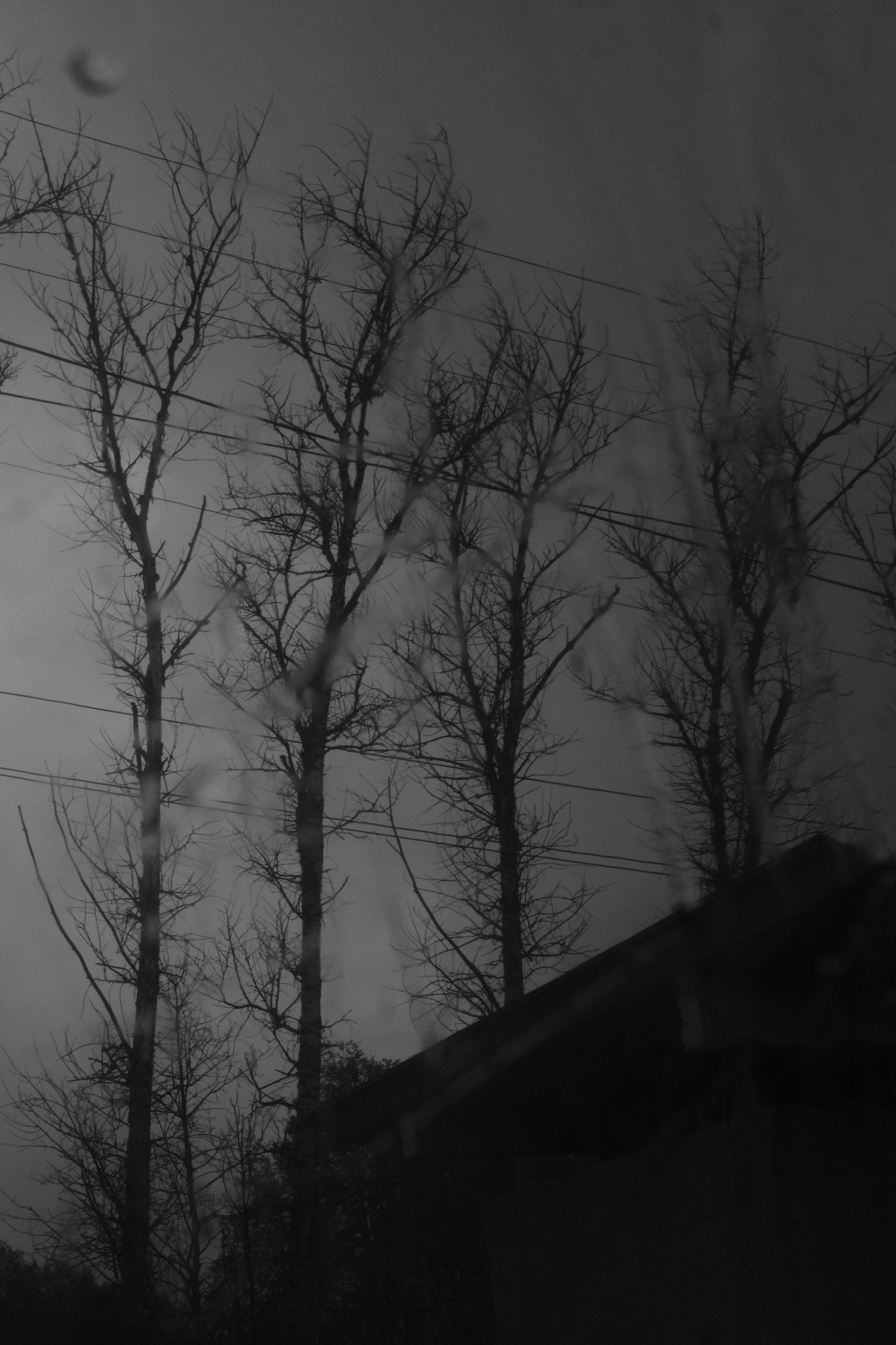 Сергиев Посад. Фотограф Маргана Лоция