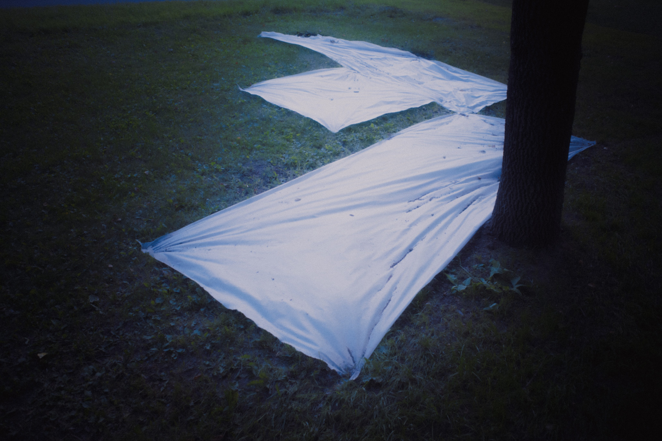 ПОД НАВЕСОМ. Фотограф Анна Васильева | Портретная и арт-фотография Москва