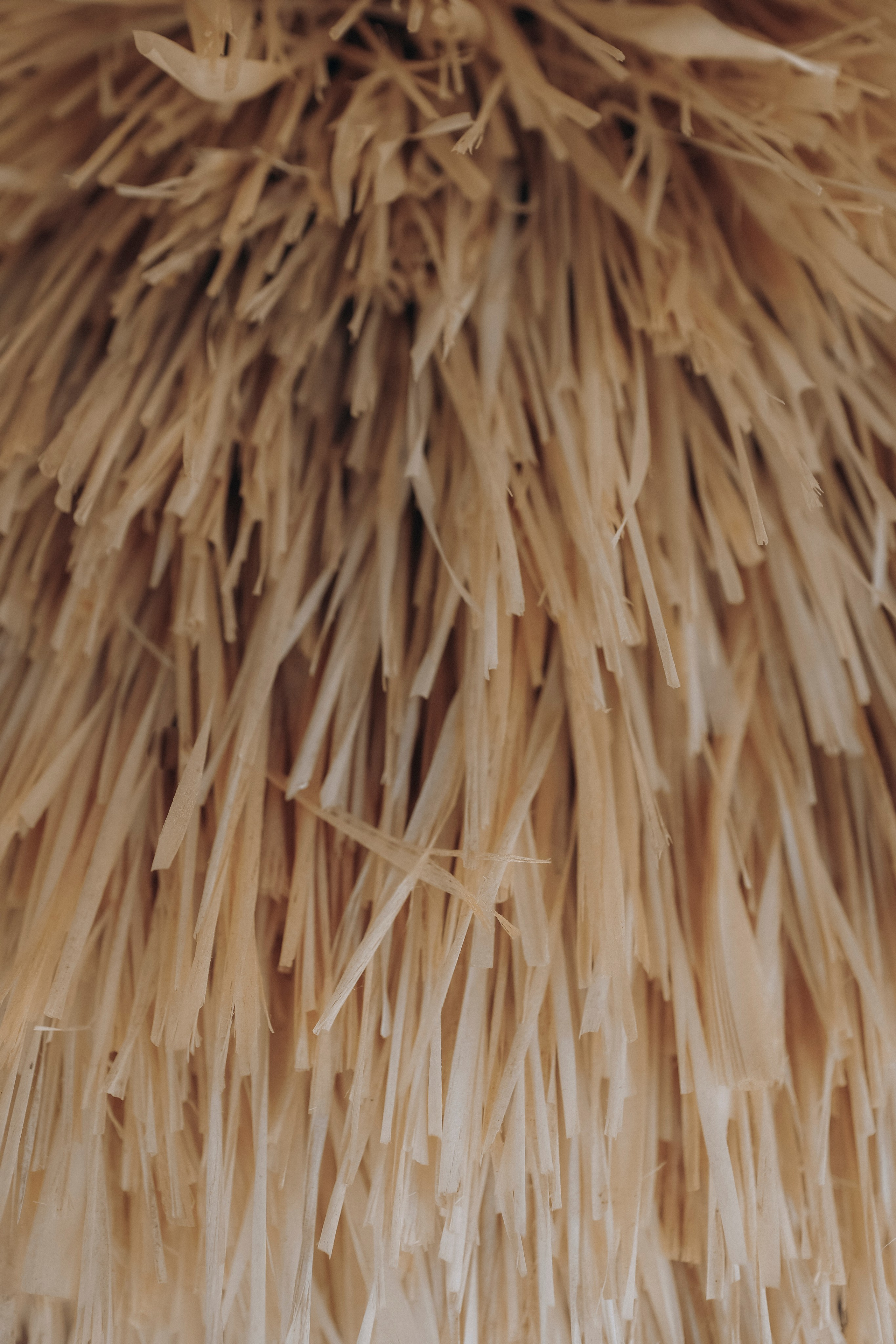 Свадебный, портретный, семейный фотограф. Севастополь, Ялта, Симферополь, Крым. Видеограф в Крыму на свадьбу