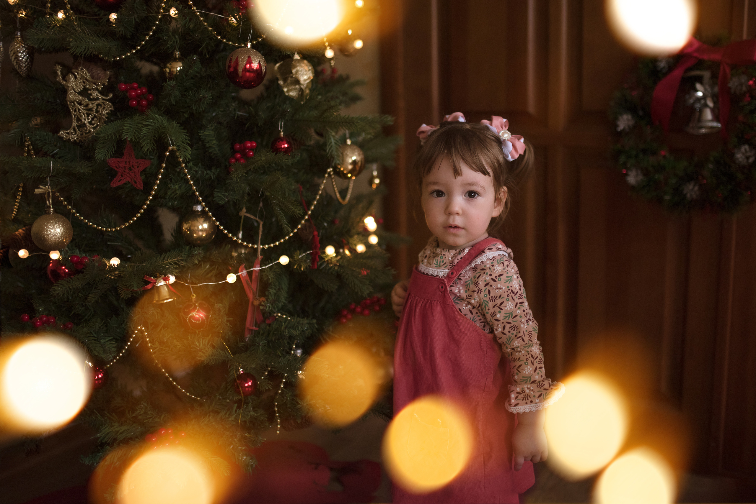 Новогодняя Съёмка. Семейный фотограф в Ростове-на-Дону Мария Панарина