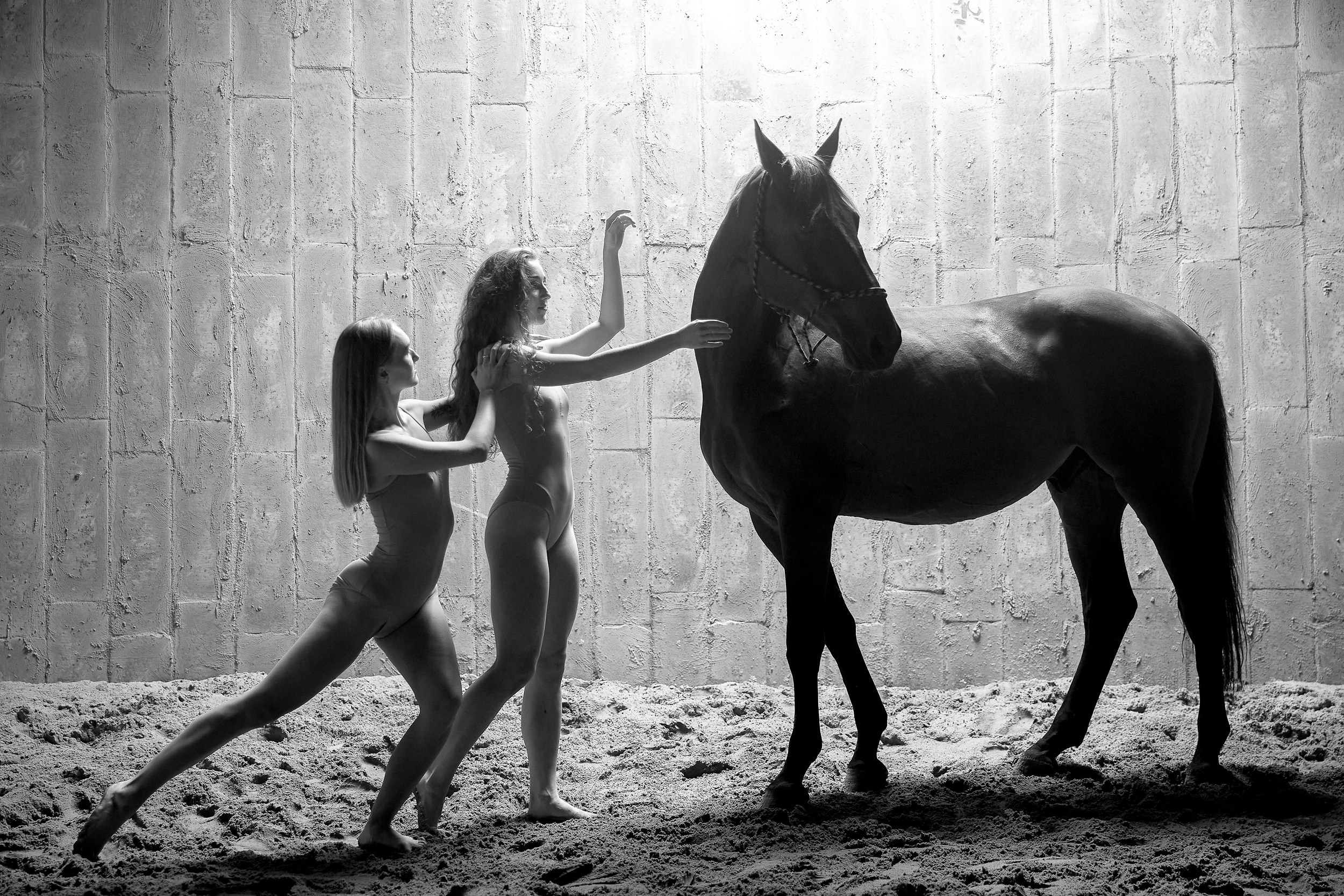 Балет и лошади, фотосессия «ГРАЦИЯ и СИЛА-1» Фотограф Михаил Семенов г. Ярославль