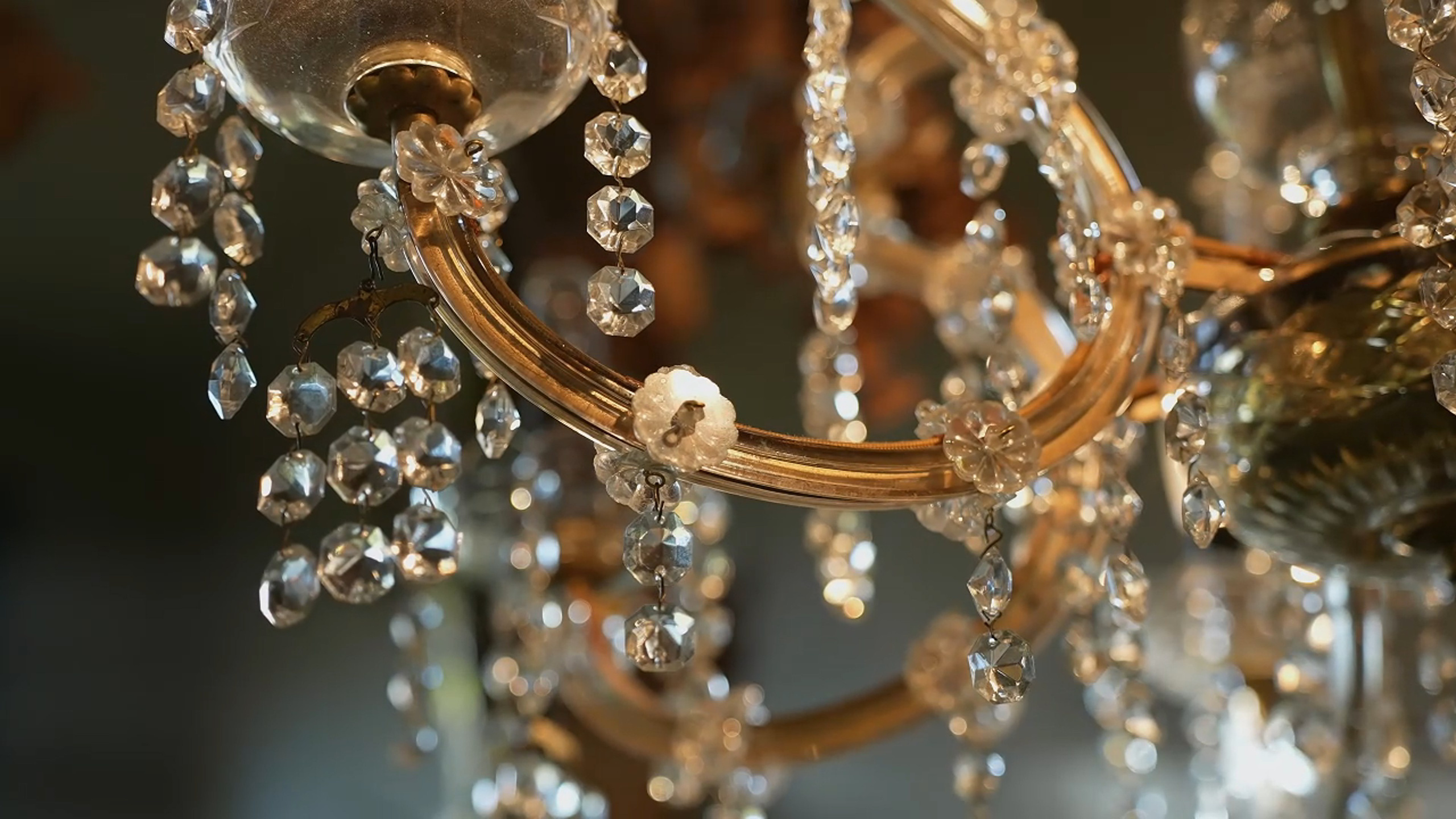 «Гея: Мать Земли» 🎬. Видеограф / Фотограф  — Яна Спащанская