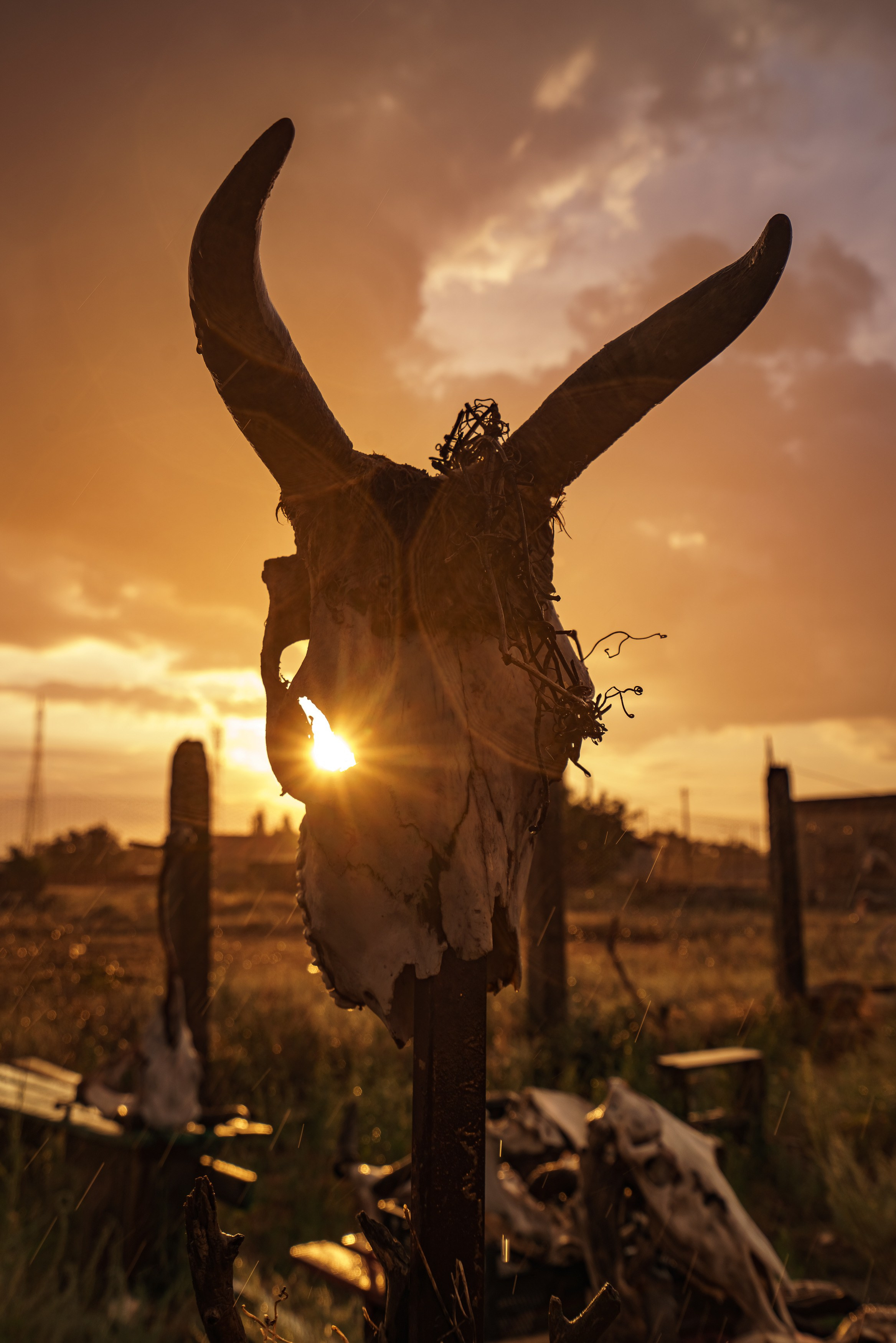 Учебный фототур на Эльтон. Июнь