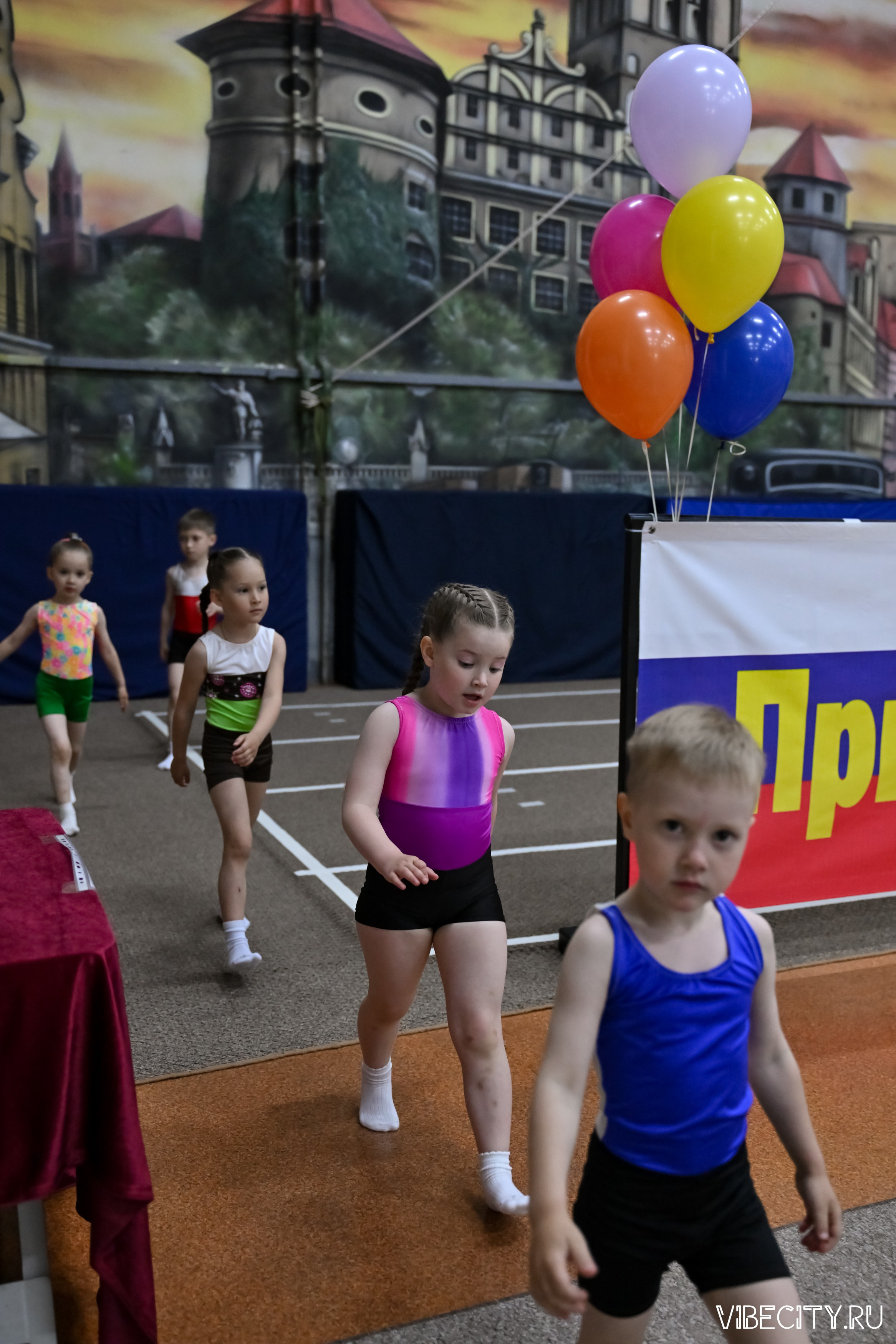 Контрольная тренировка по спортивной гимнастике. VIBECITY.RU Вайб Сити Ру Фоторепортажи Фотоотчеты Калининград