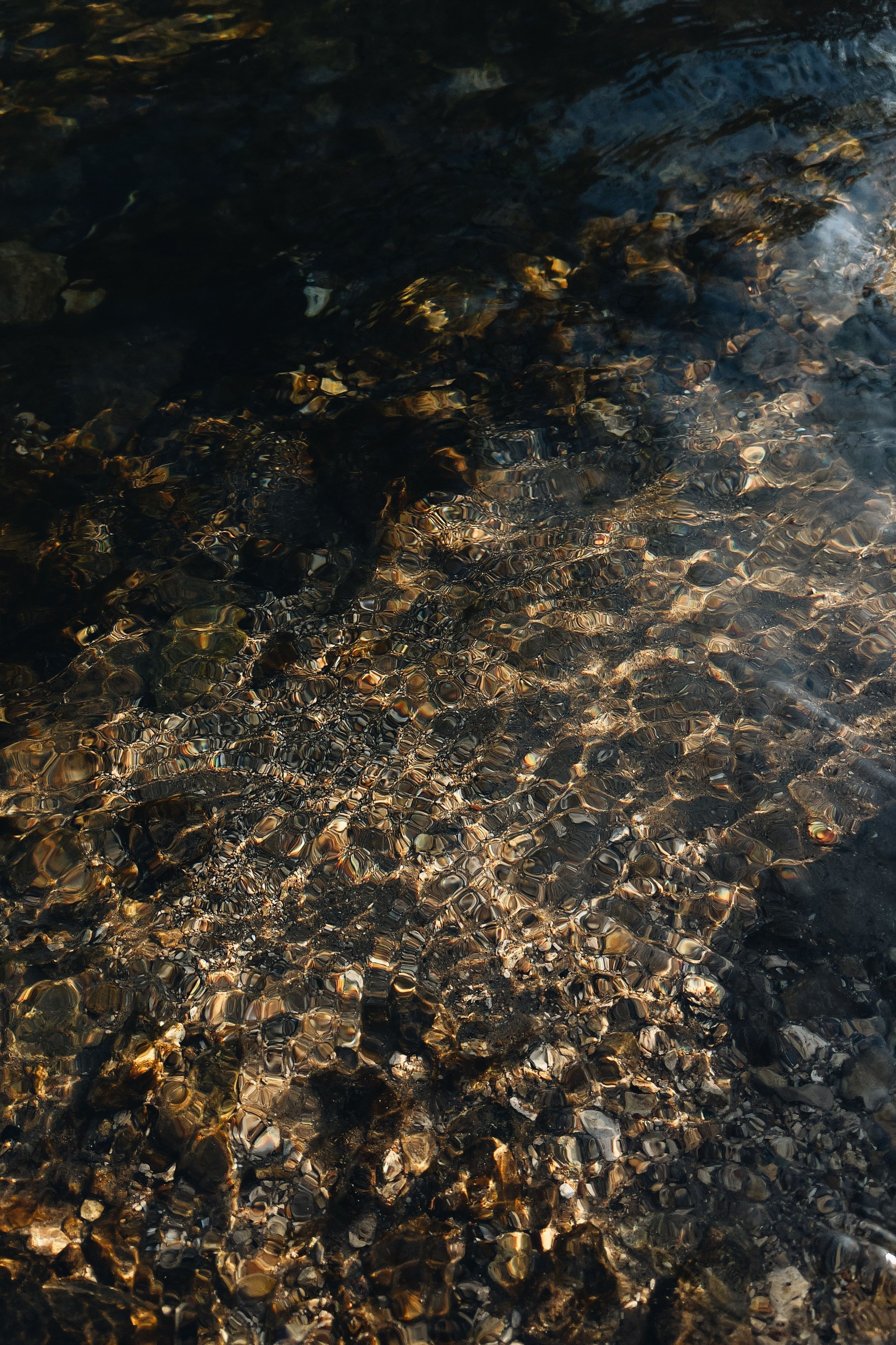 EKATERINA BOGDANOVA ─ PHOTOGRAPHER