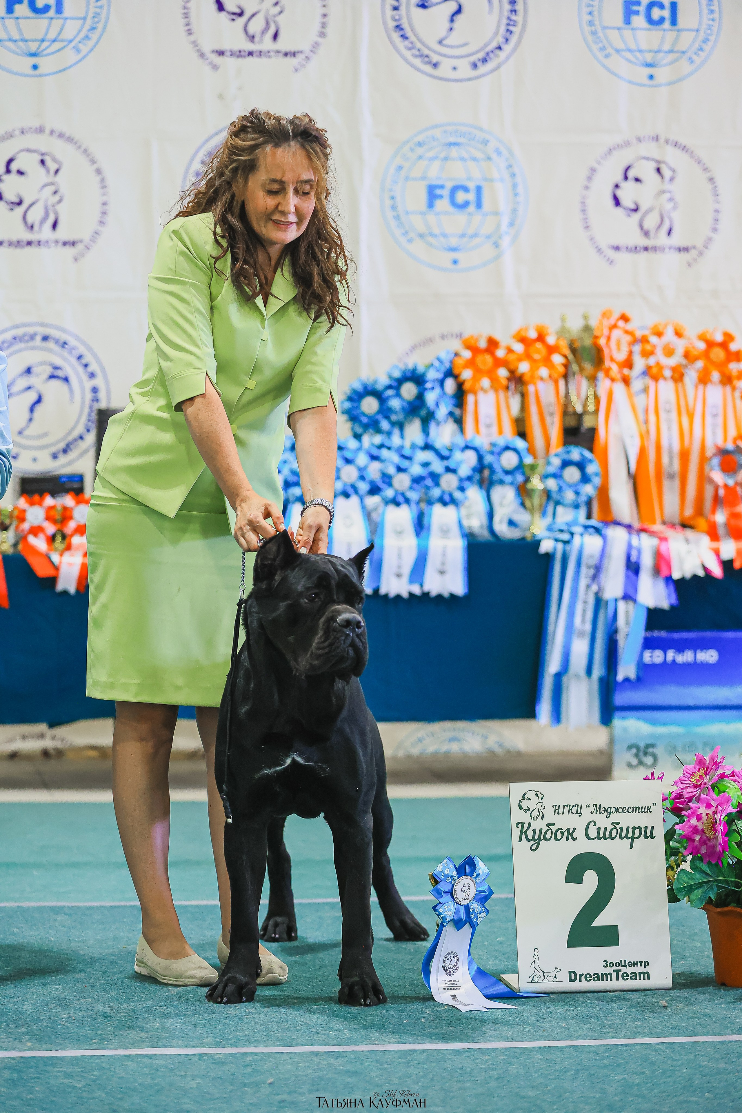13.07.25 2х выставки собак. Новосибирск. «Кубок Сибири»
