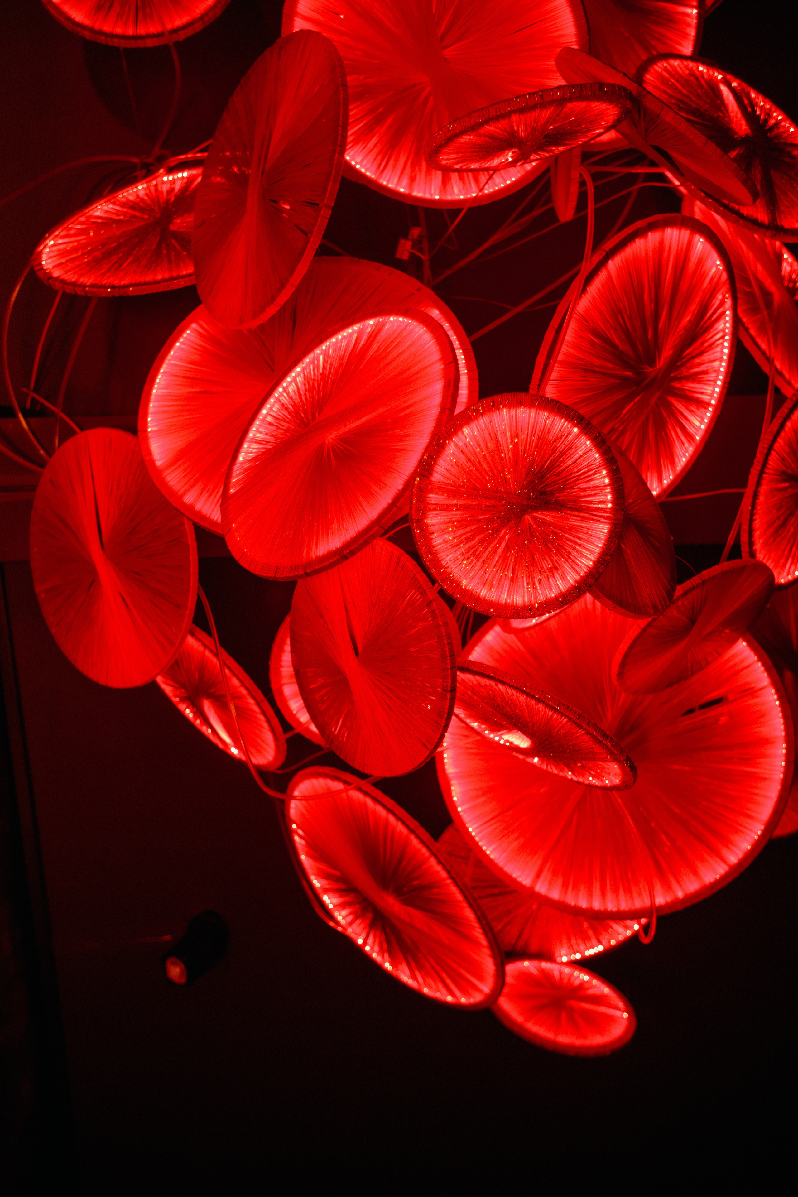 HANAMI — МЕМУАРЫ ГЕЙШИ. СВОИ. ФОТООТЧЕТЫ-СОБЫТИЯ-МЕСТА