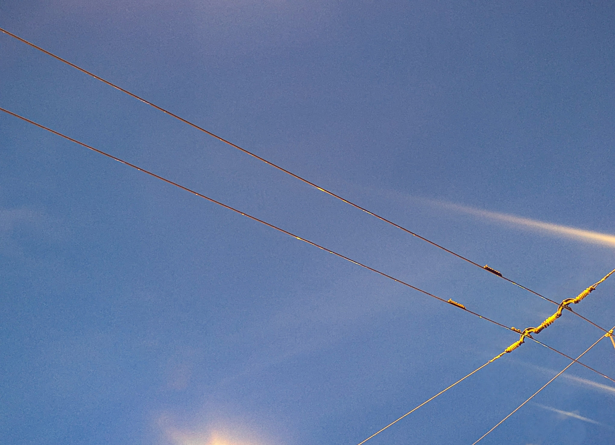 Мир вокруг: мобильная фотография — быстрая композиция. Любовь Каширская — фотограф для малого бизнеса и специалистов