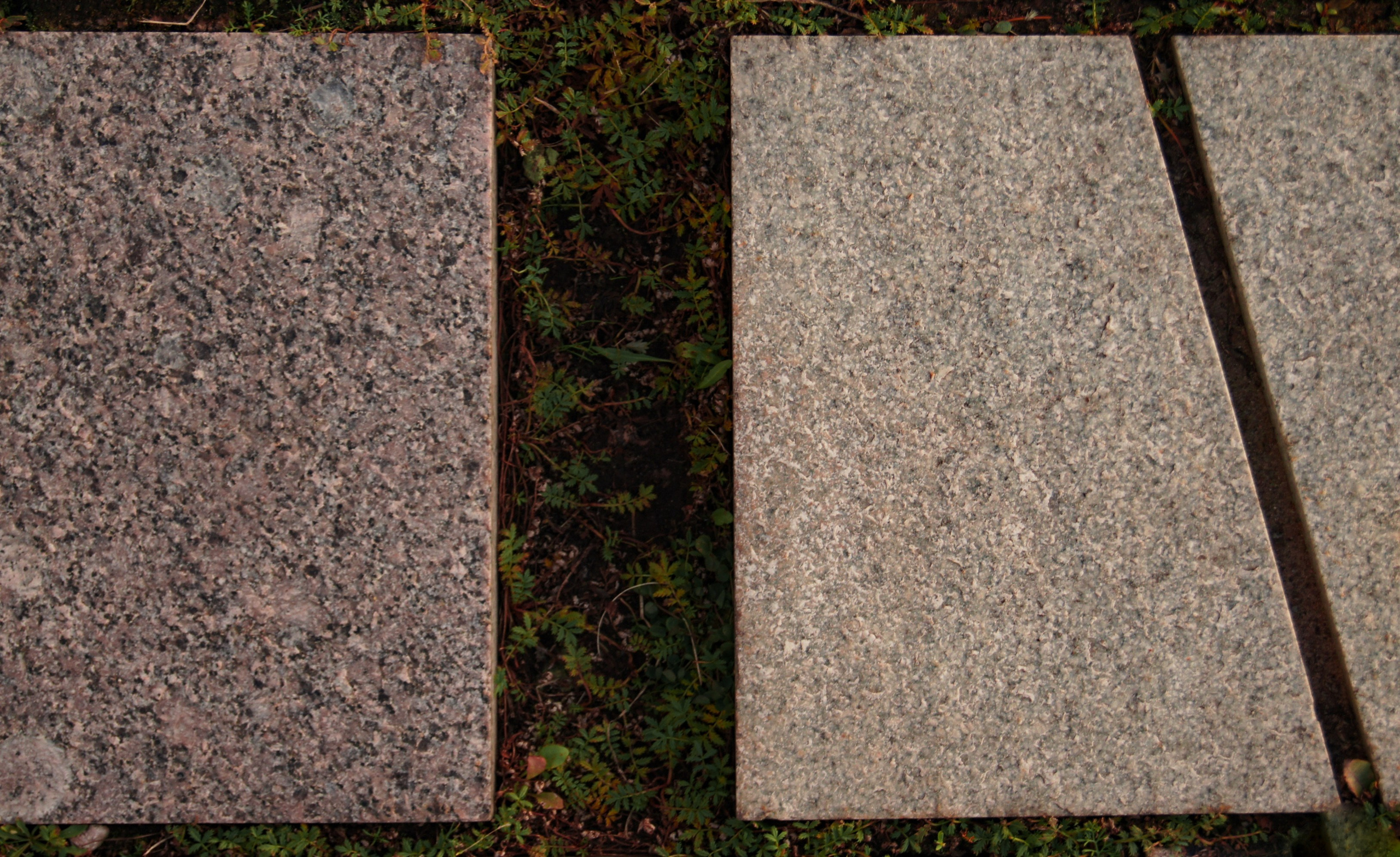 Мир вокруг: мобильная фотография — быстрая композиция. Любовь Каширская — фотограф для малого бизнеса и специалистов