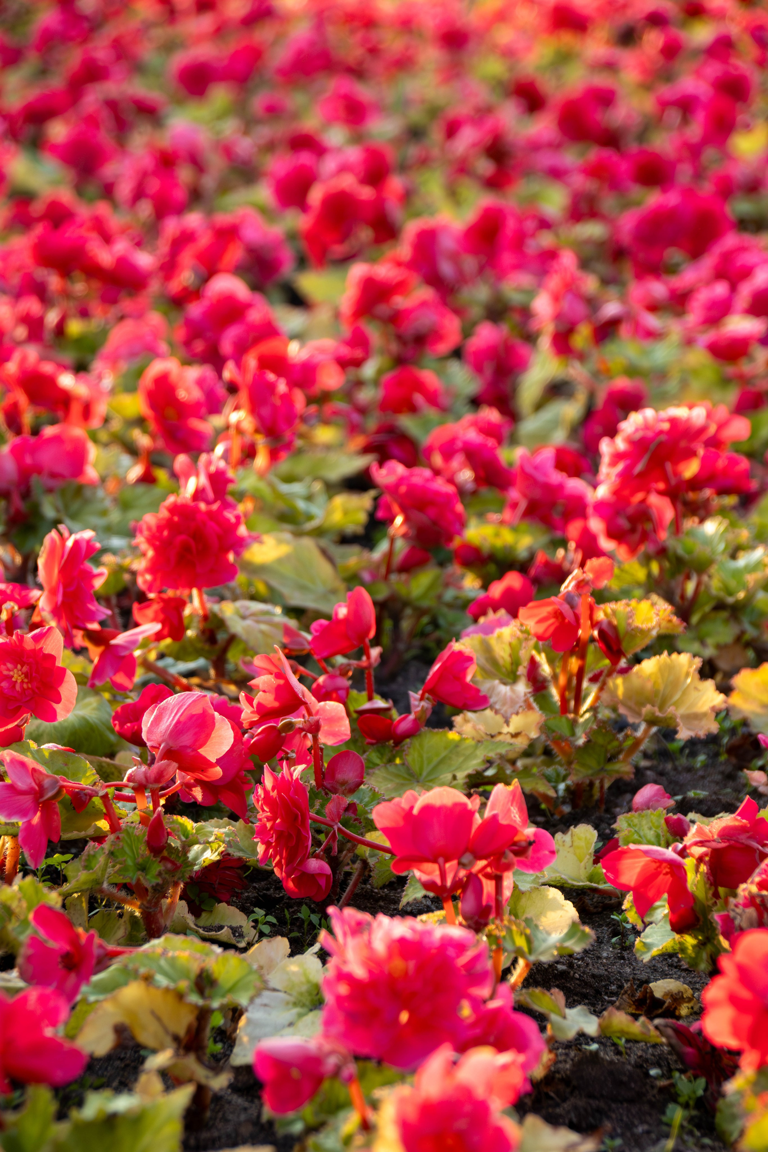 Фотограф в Санкт-Петербурге Георгий Елецких