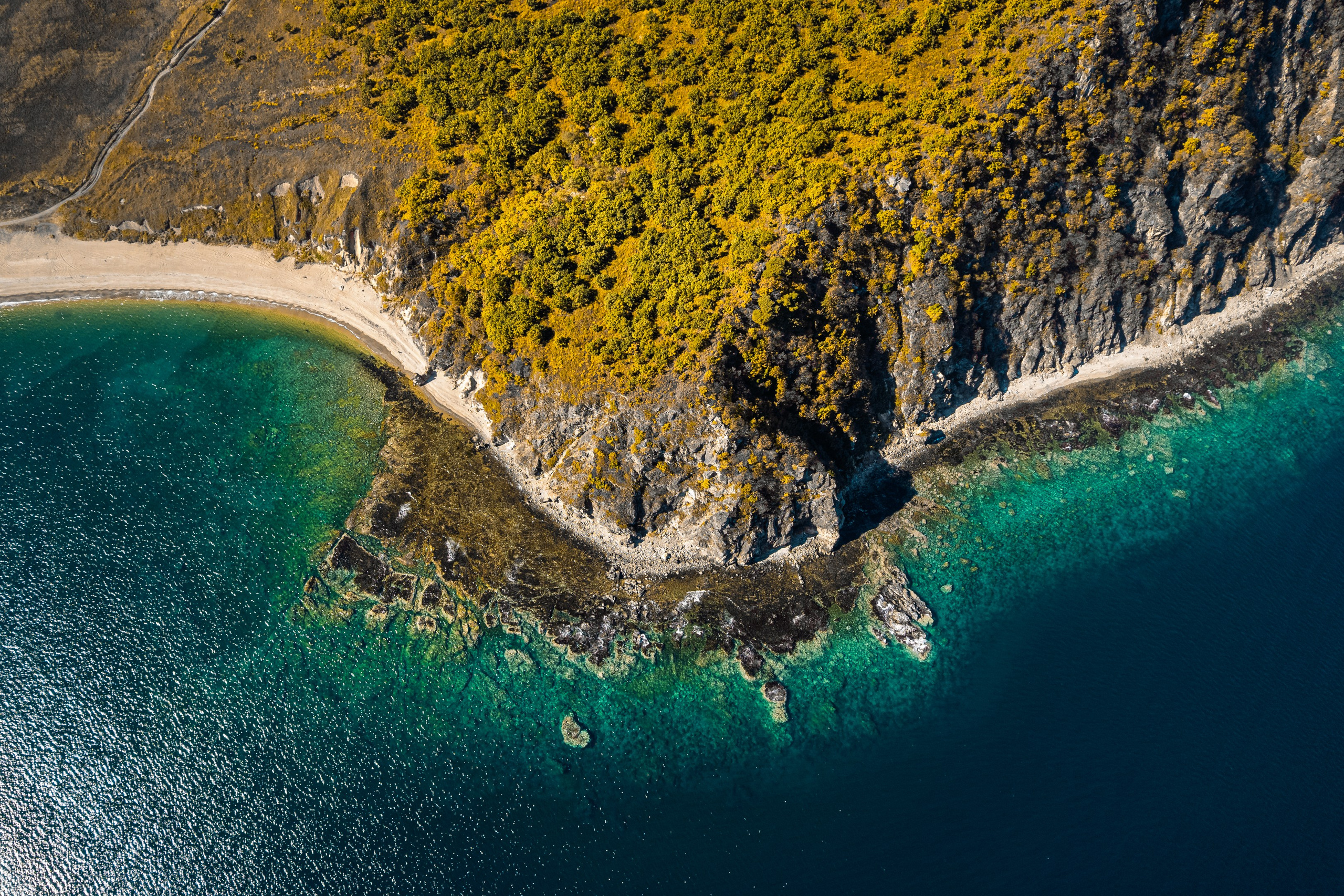 Бухта Льва | Мыс Сосновый. Иван Зайцев (IZIART) — создание культурного кода через фото и видео