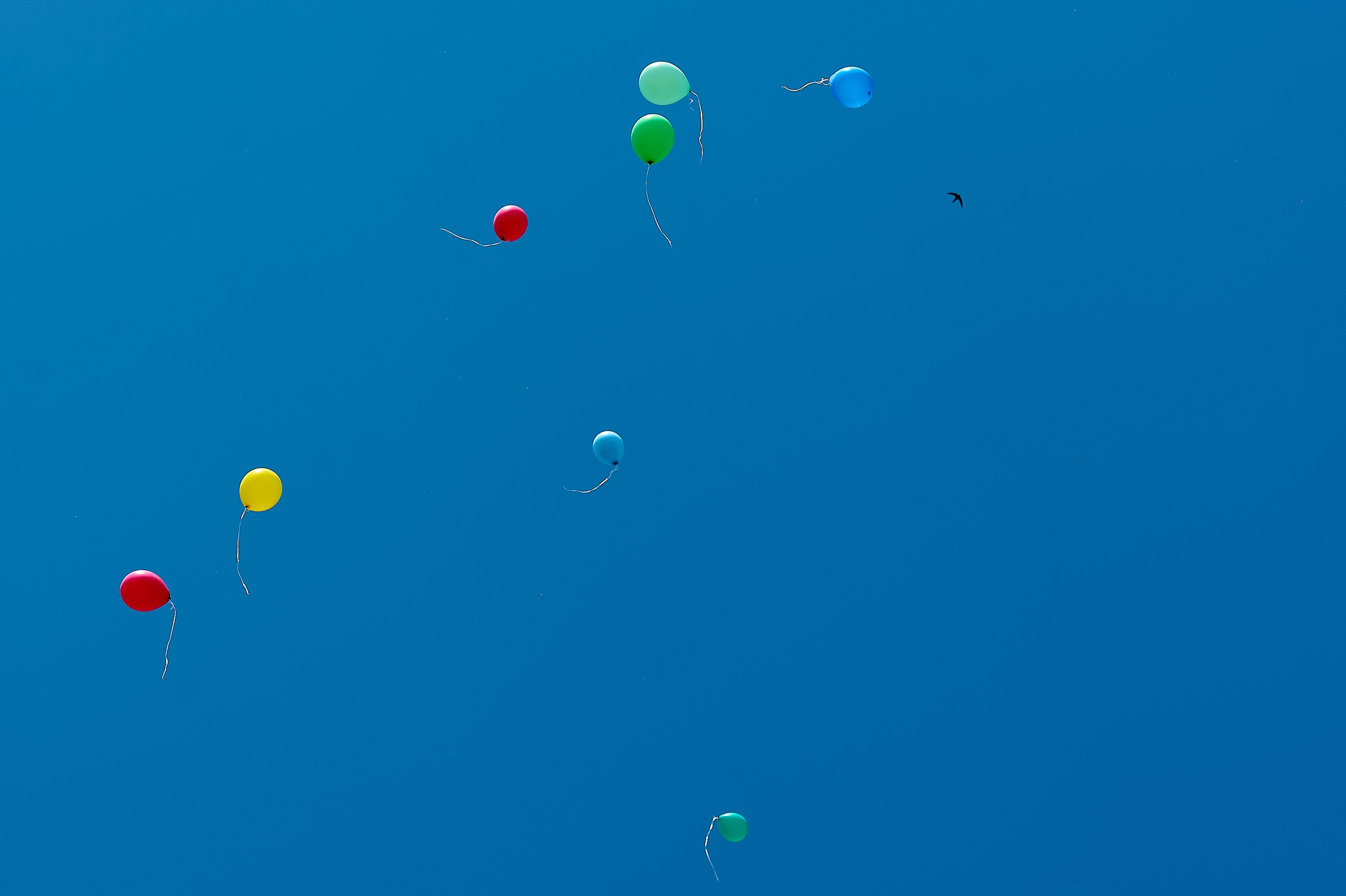 Выпускные концерты