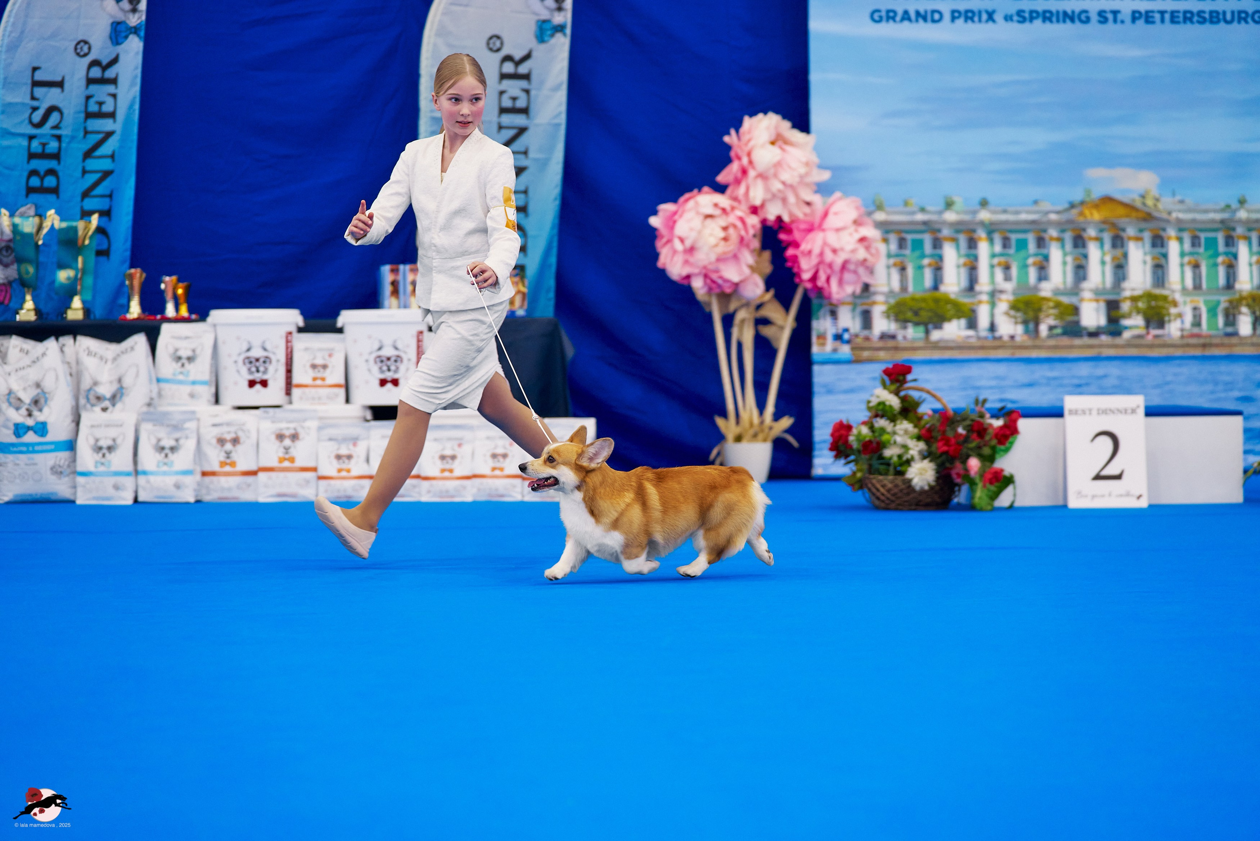 ГРАН ПРИ «ВЕСЕННИЙ ПЕТЕРБУРГ» & «СУПЕР КУБОК «ЭЛИТЫ»-2025»