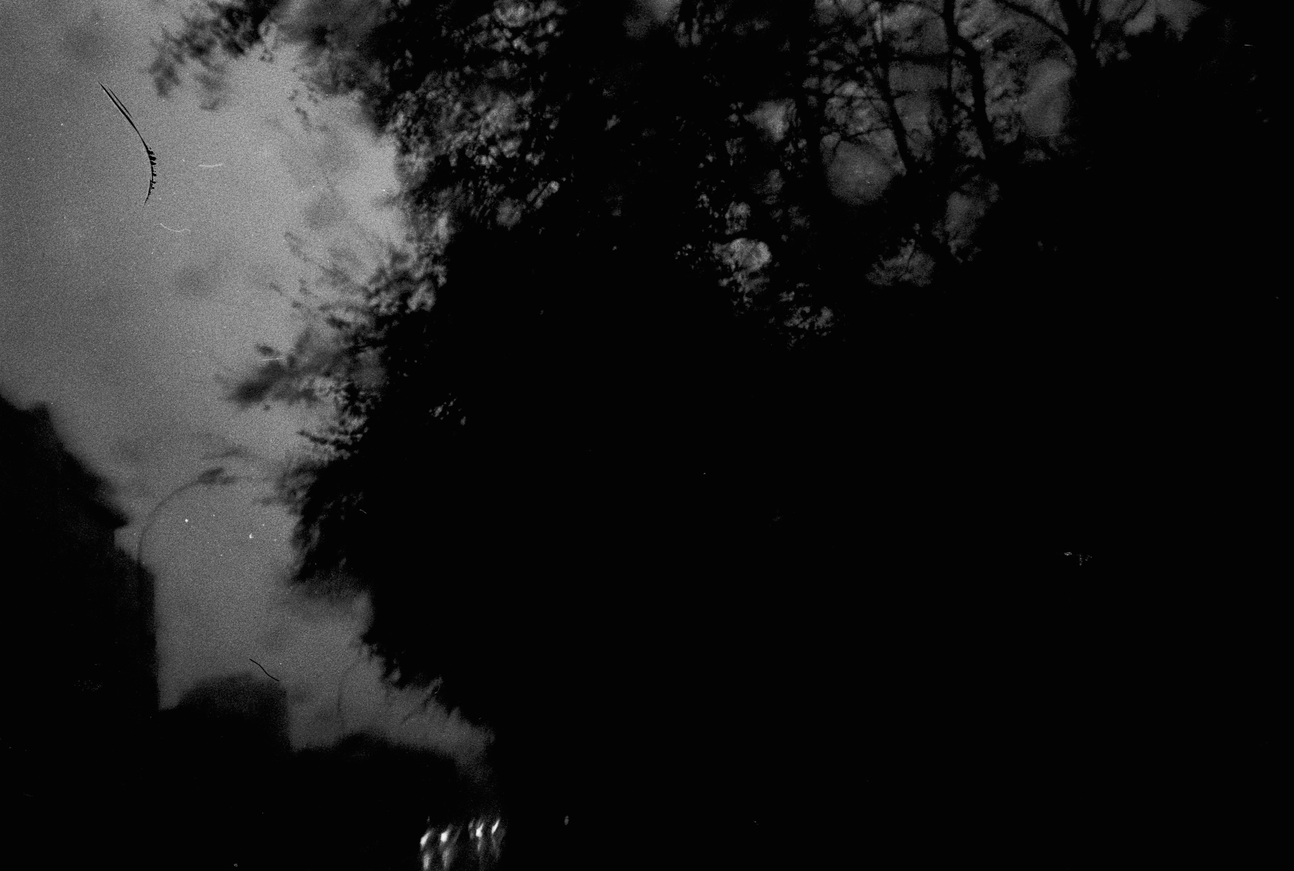 Осенние нуары. Контент-креатор Паша Норицын