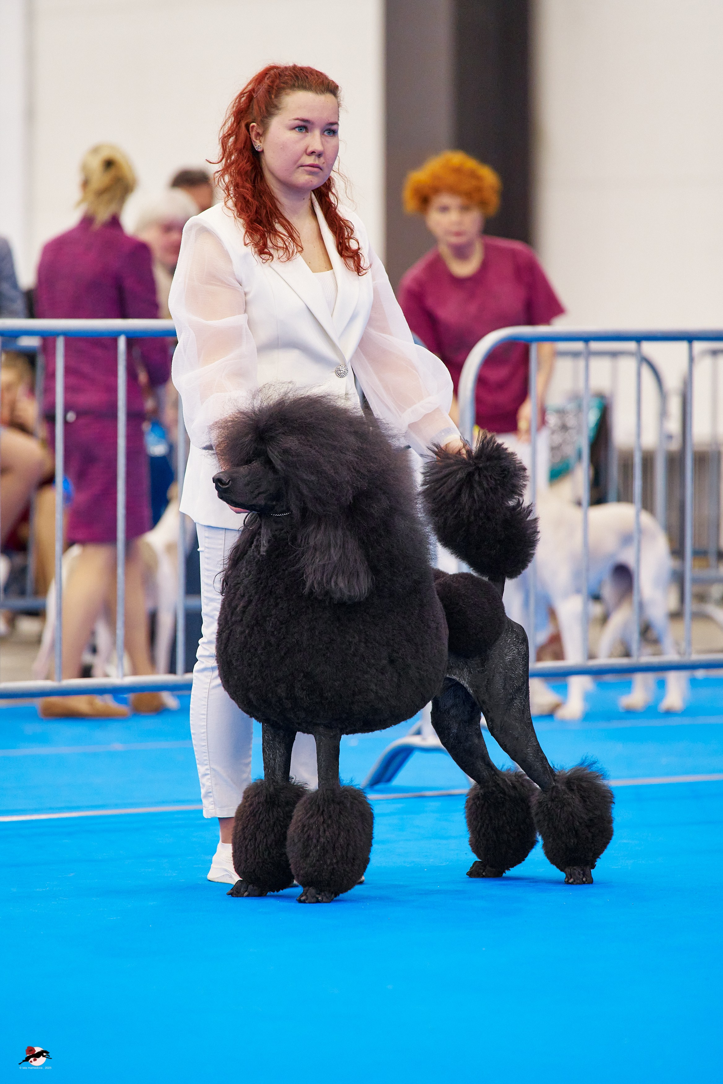 ГРАН ПРИ «ВЕСЕННИЙ ПЕТЕРБУРГ» & «СУПЕР КУБОК «ЭЛИТЫ»-2025»