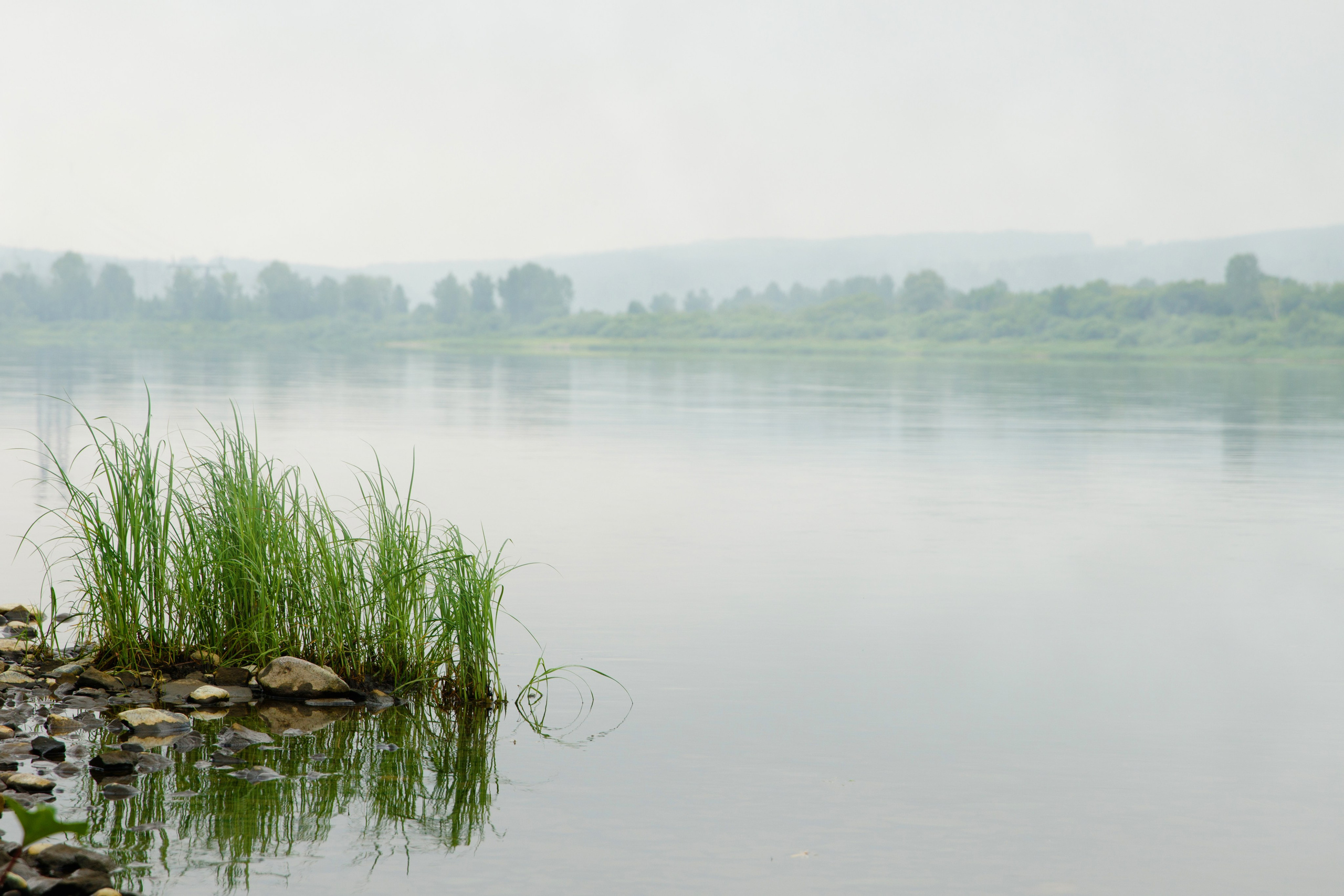 Подберу кадр под ваш интерьер и настроение. Фотограф Кирилл Мешков Кемерово