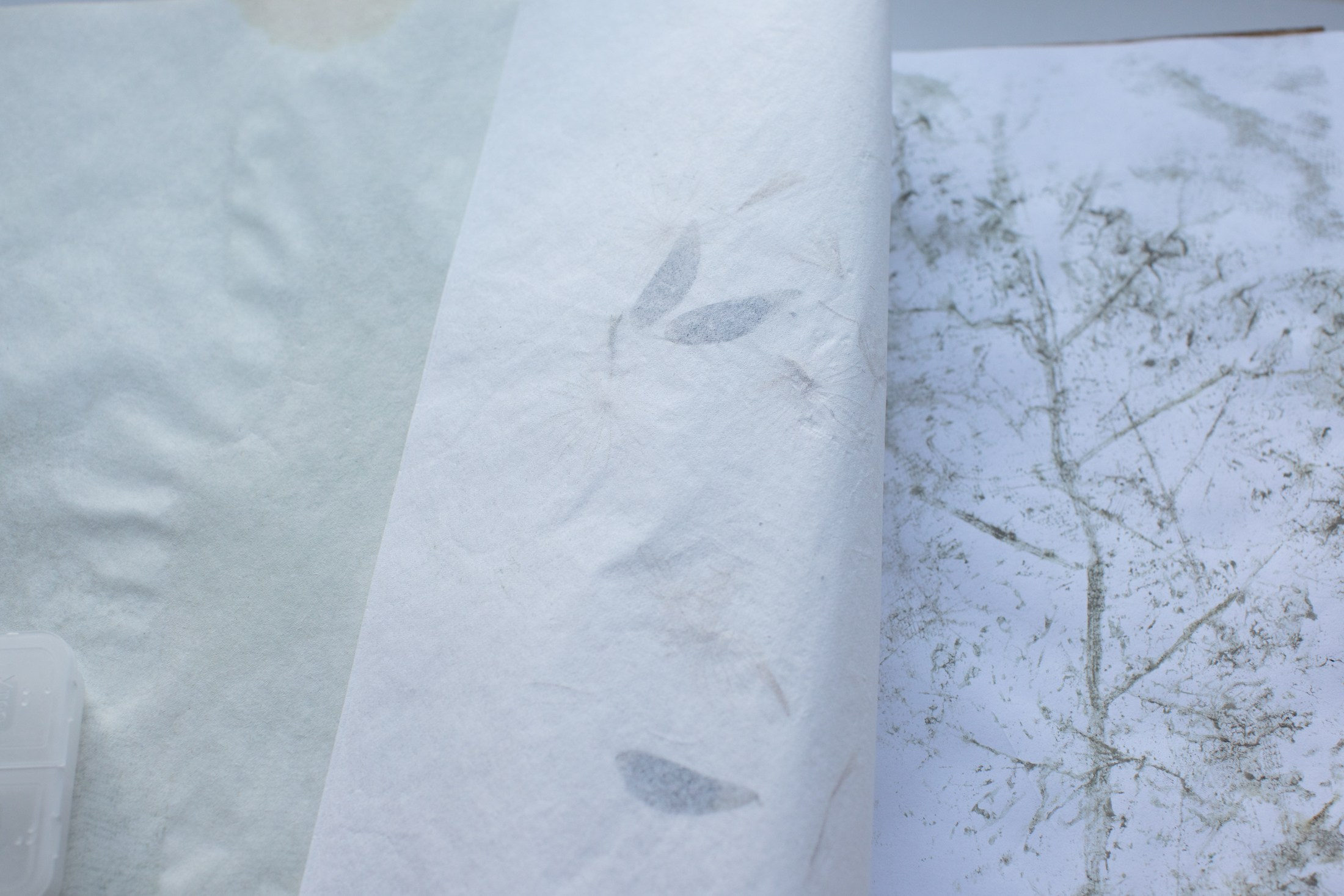 Подсосенские тетради. Natalya Madilyan