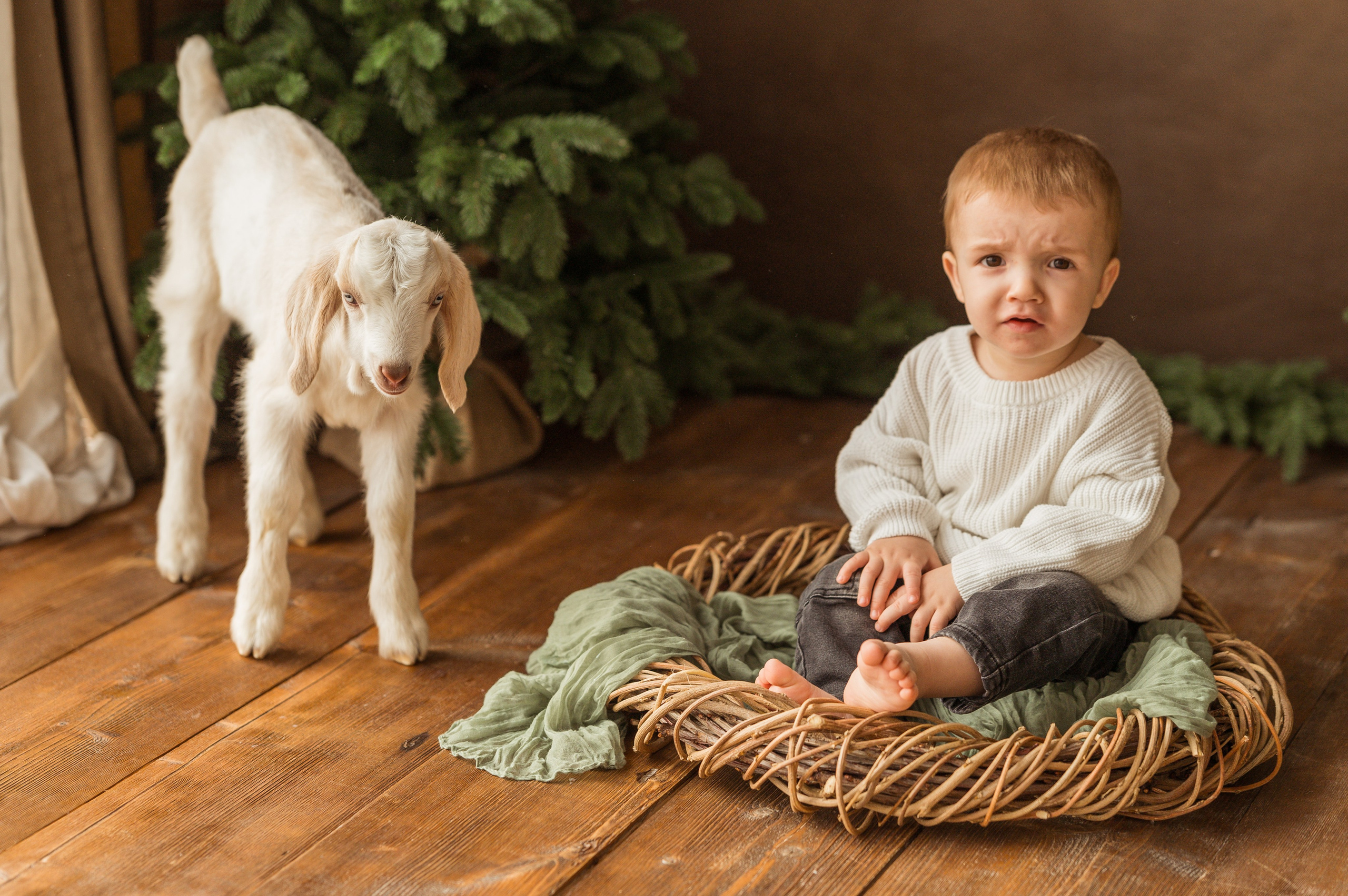 Данечка, Артем и козлик. Детский и семейный фотограф Ирина Гладких
