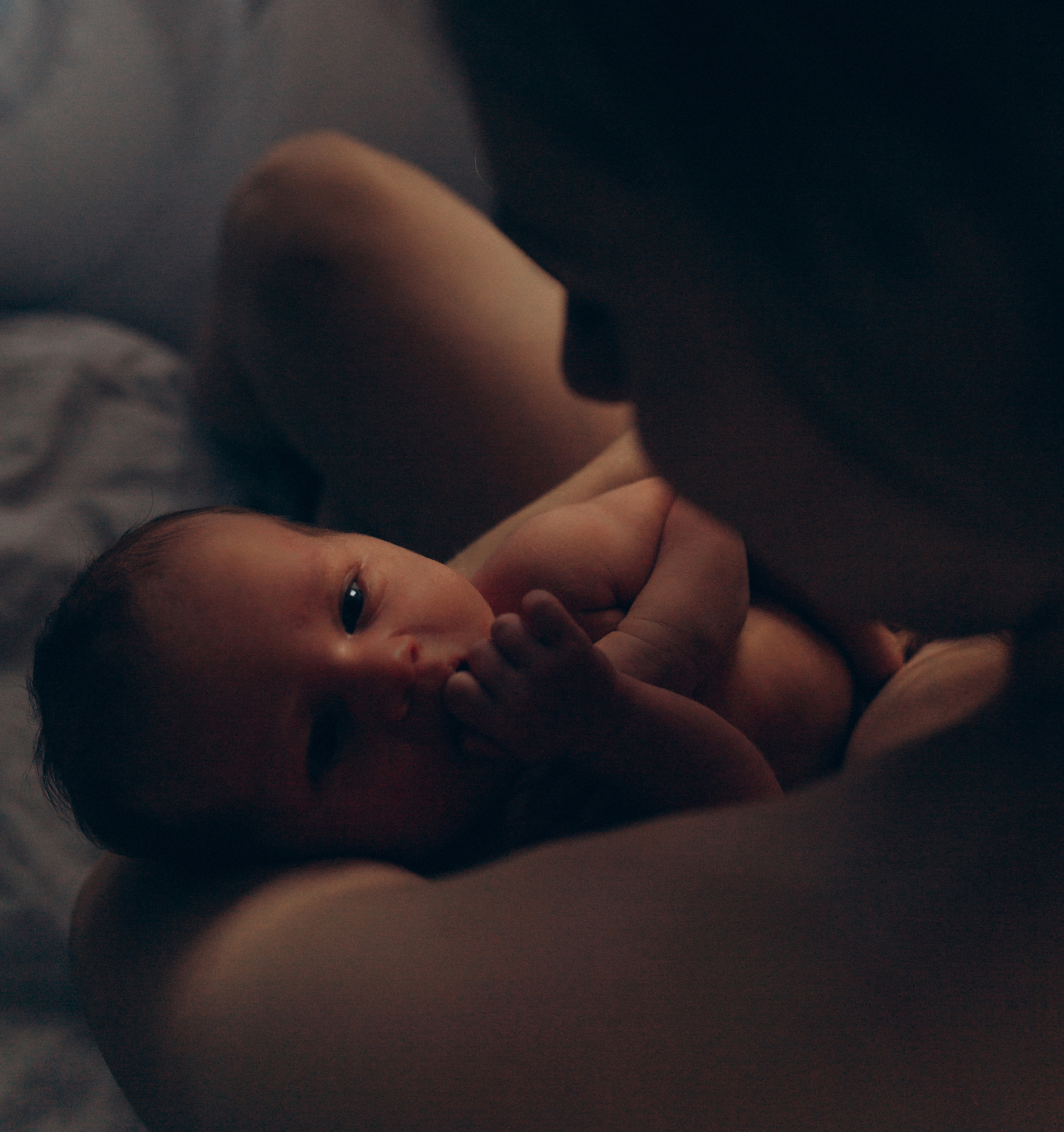 Семейный фотограф в Москве и Московской области Донкова Екатерина