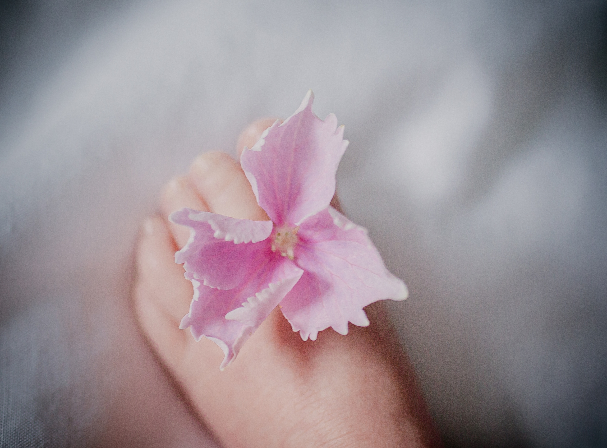 Семейный фотограф в Москве и Московской области Донкова Екатерина