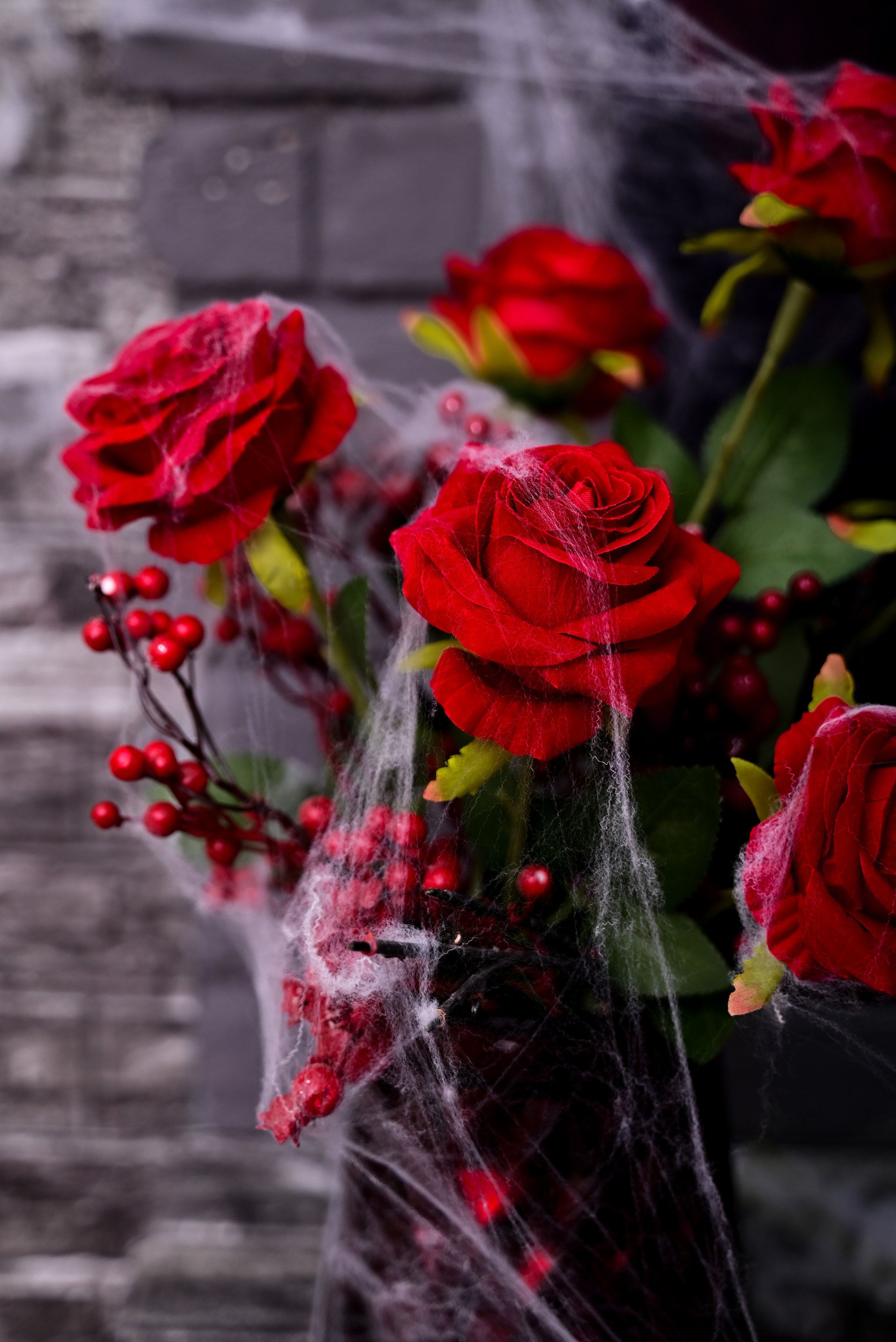 Зал — Sweet. Фотостудия Зефир. Фотосессии в студии под ключ. Москва. Семейные и детские фотосессии