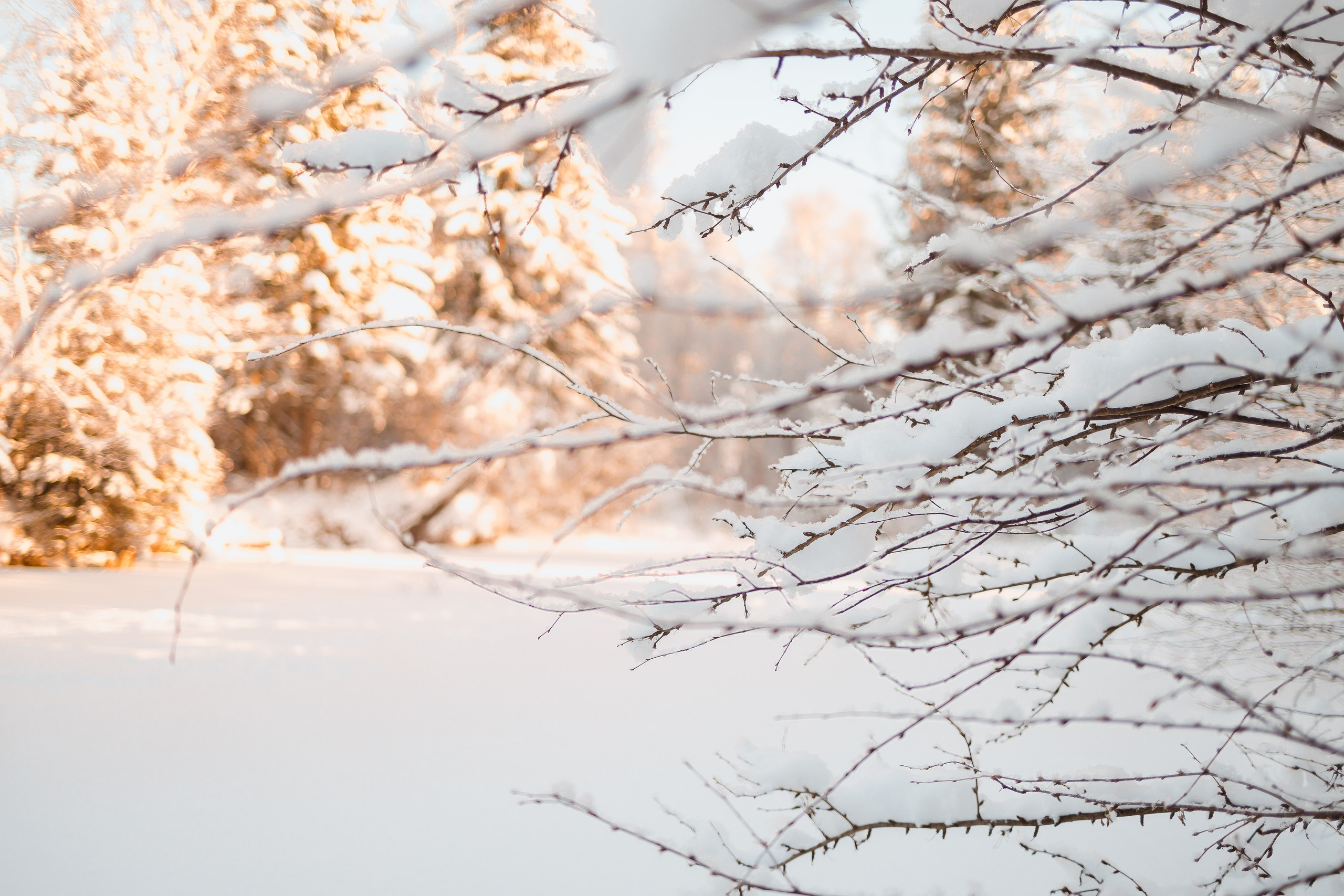 Зима 2023, -30. Семейный и детский фотограф в Железногорске Саламахо Ольга