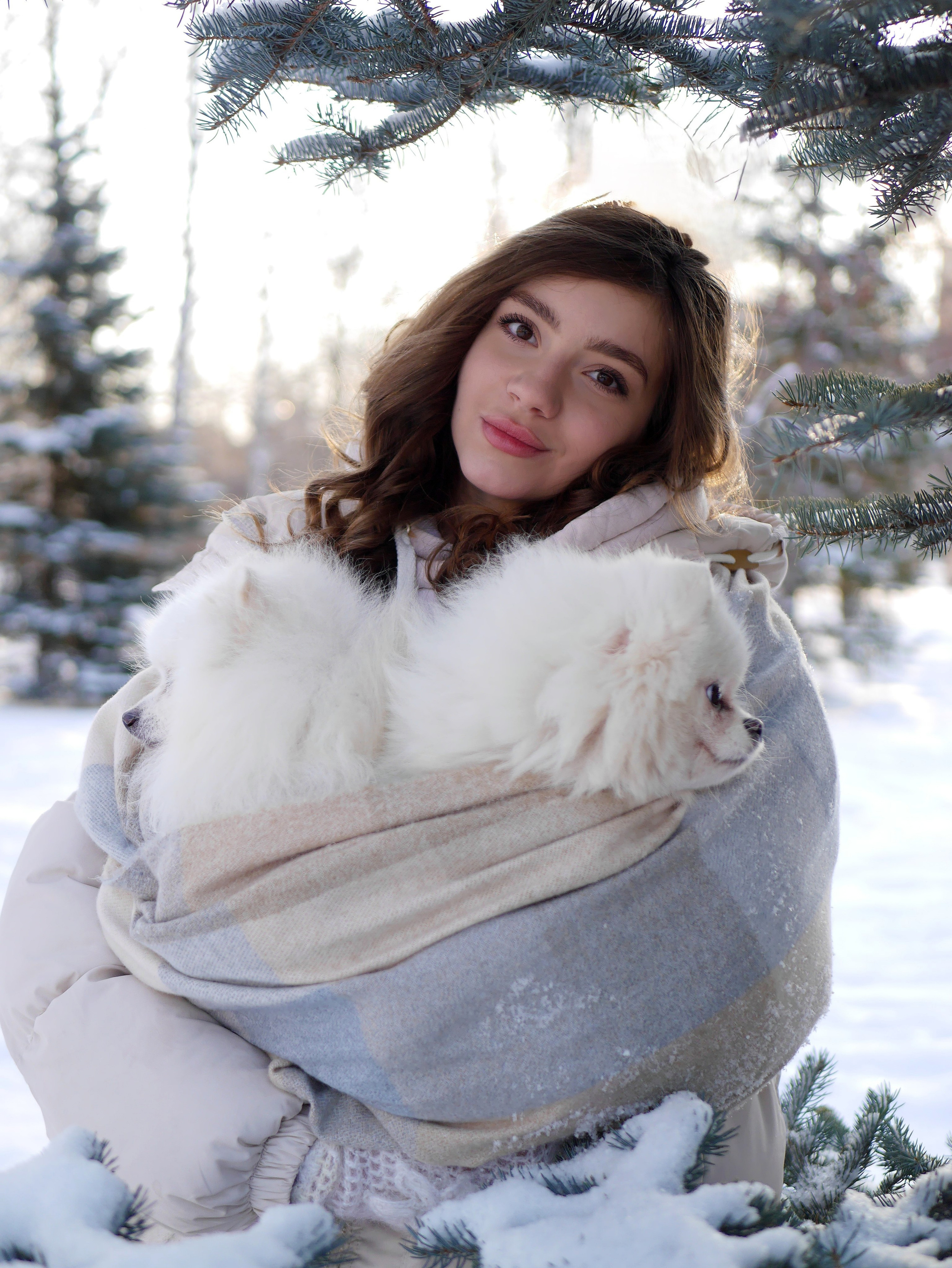 Юлия и шпицы