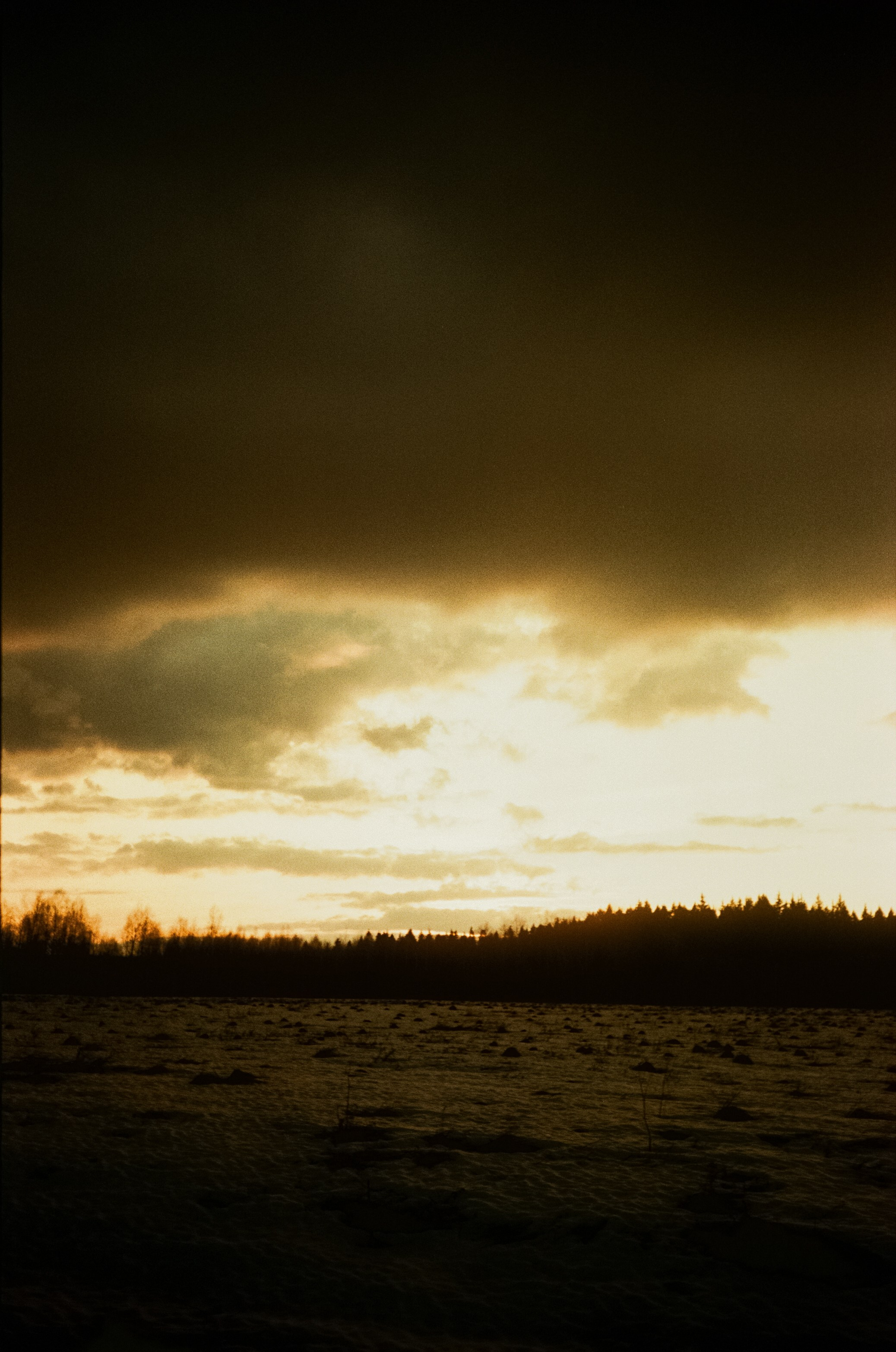 Ricoh FF-300D / Fujifilm X-tra 400 (просрочка) / Лукино март 2024 г