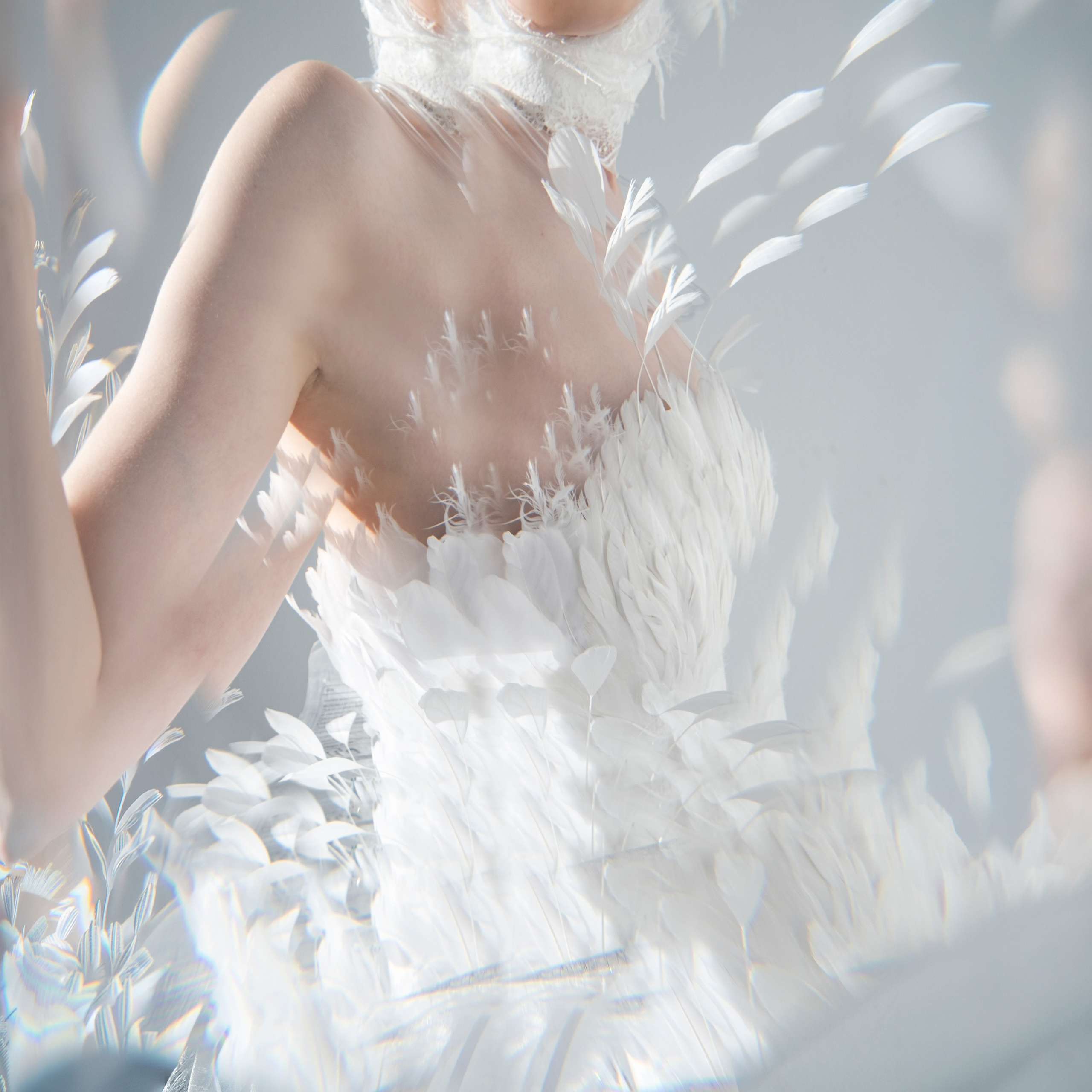 Mixed Media: Fragile. Sia Levine Design