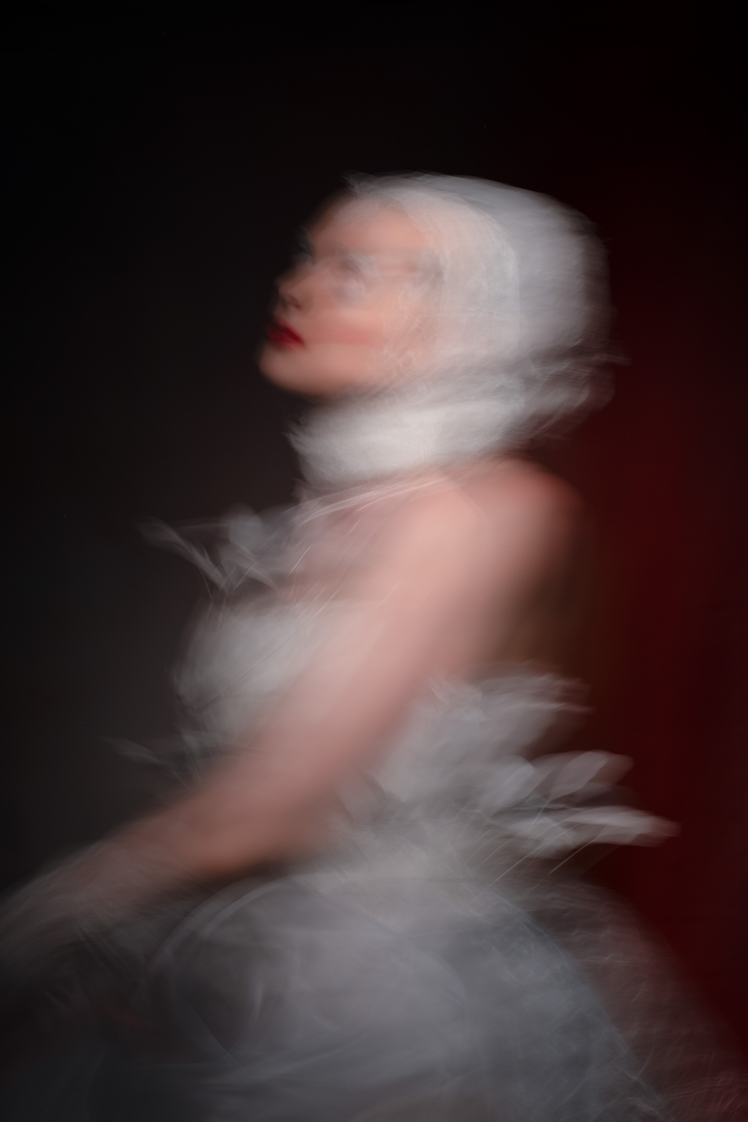 Mixed Media: Fragile. Sia Levine Design