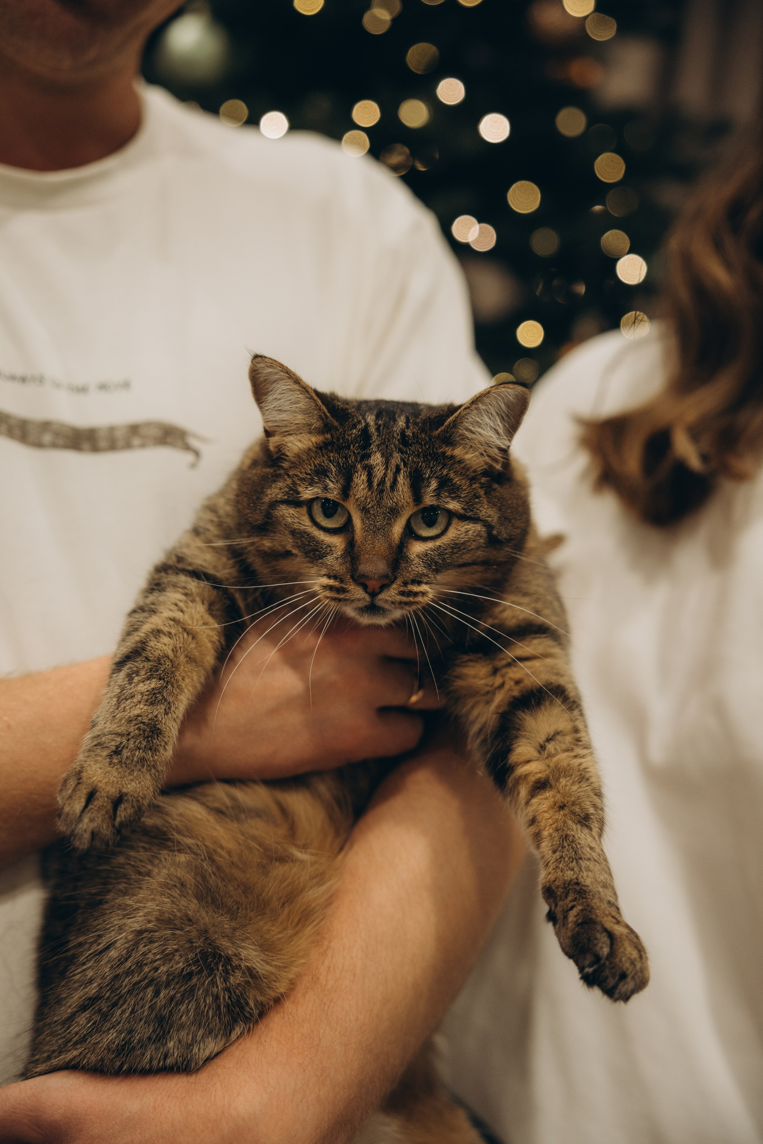 Дома. Свадебный, семейный фотограф в Иркутске Светлана Макаричева