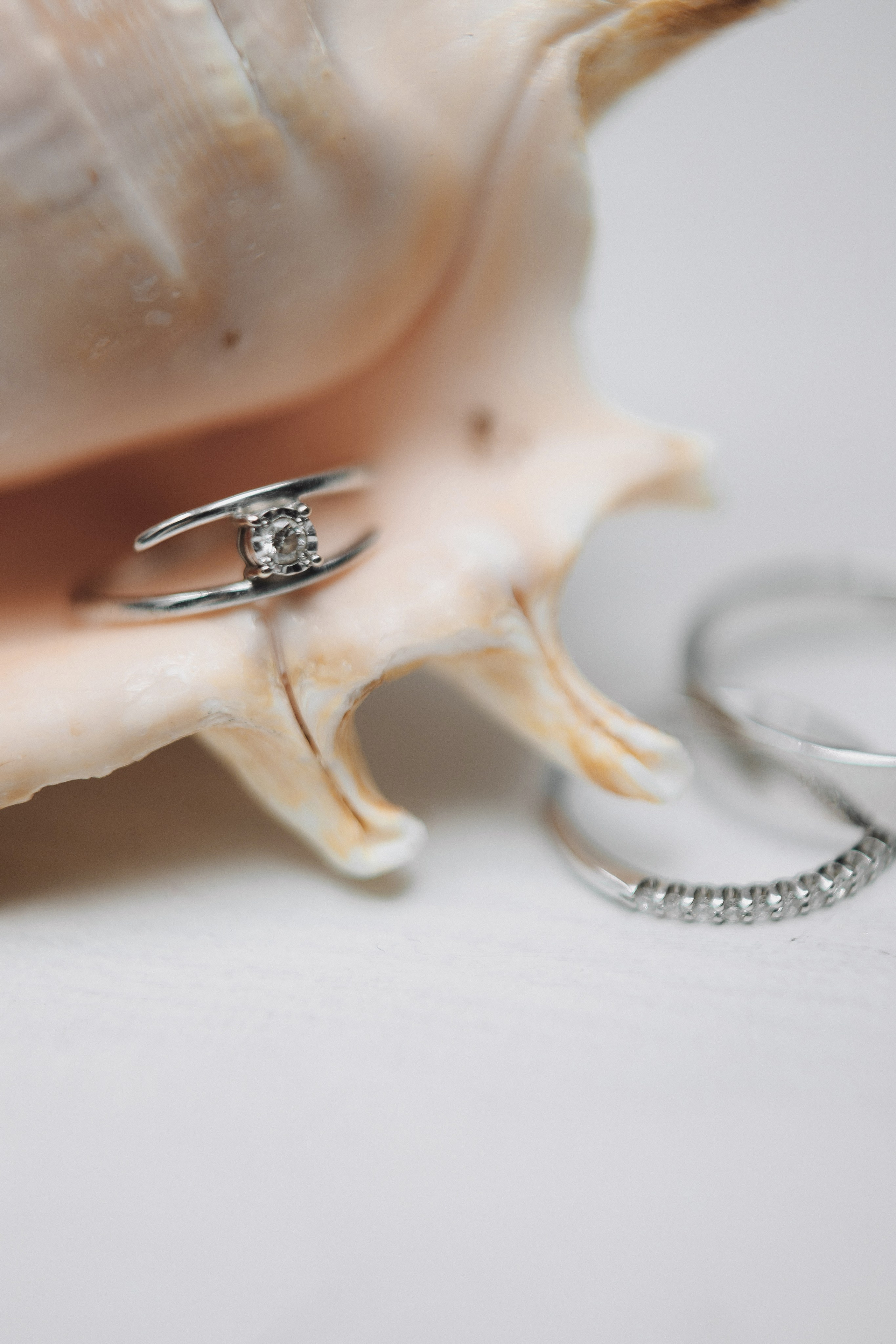 Фотограф Кольчугино/Владимир/Москва Елизавета Иода