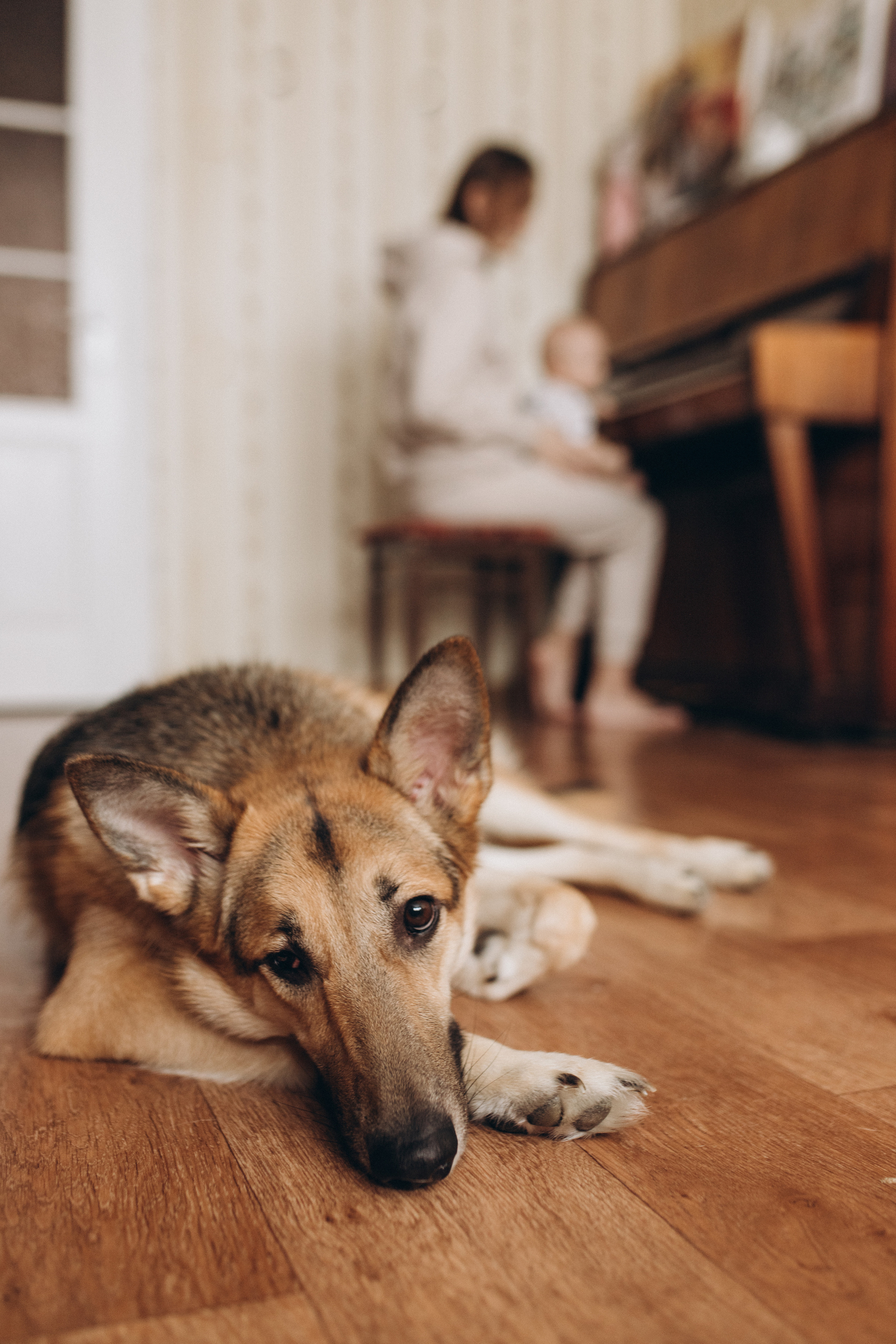 Домашняя фотосессия. Алёна Берёзка фотограф Минск