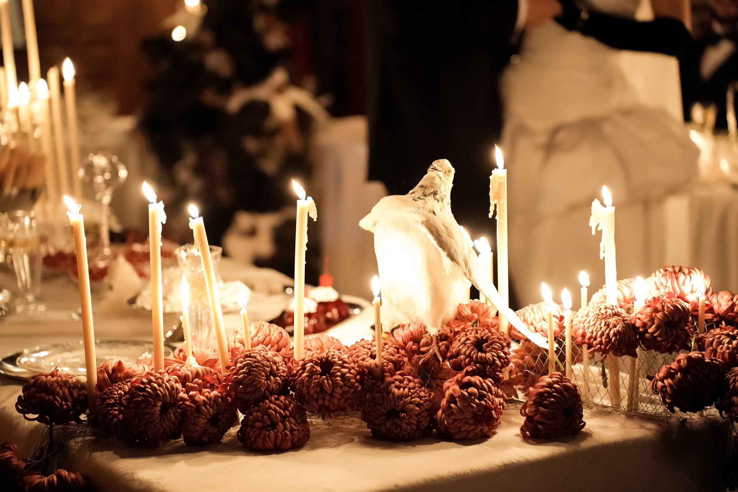 МОСКВА. Свадебный фотограф и видеограф в Ростове-на-Дону. Максим и Наталья Лебедевы