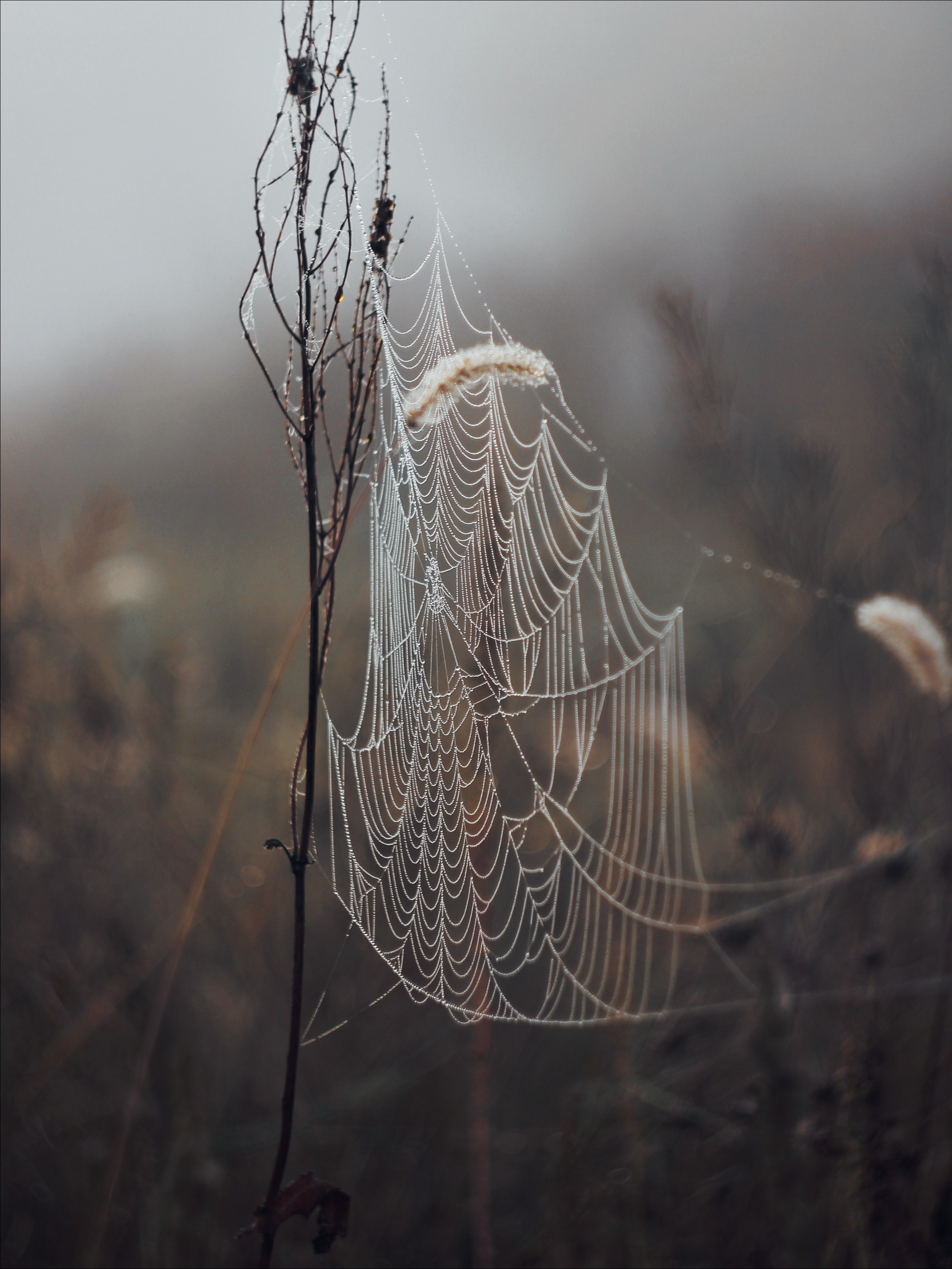 Опустошенность. С любовью, фотохудожник