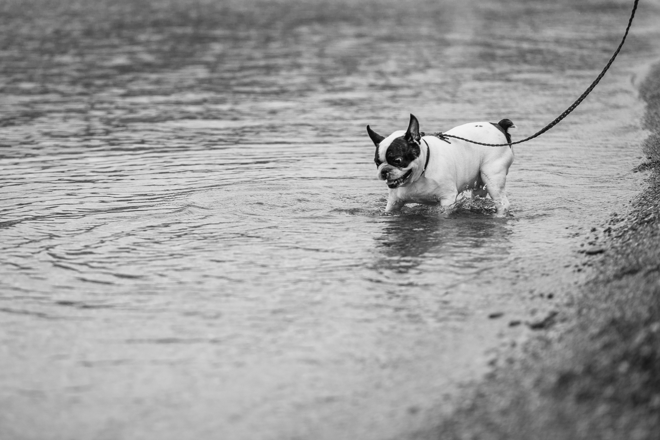 Улицы Люди на улицах Природа Животные — фотограф Оля Волчкова