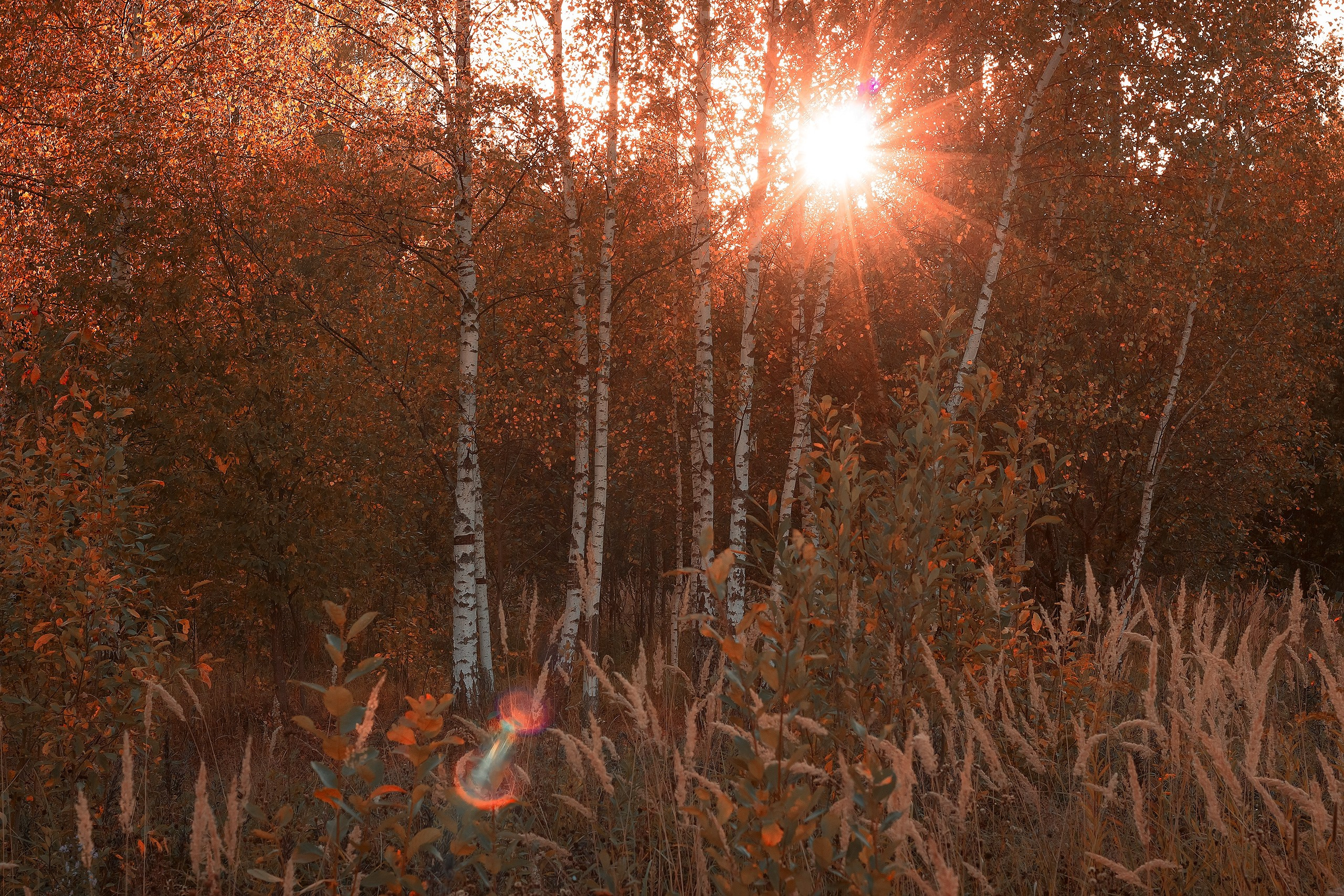 В мире физики. Аmat Victoria Сuram