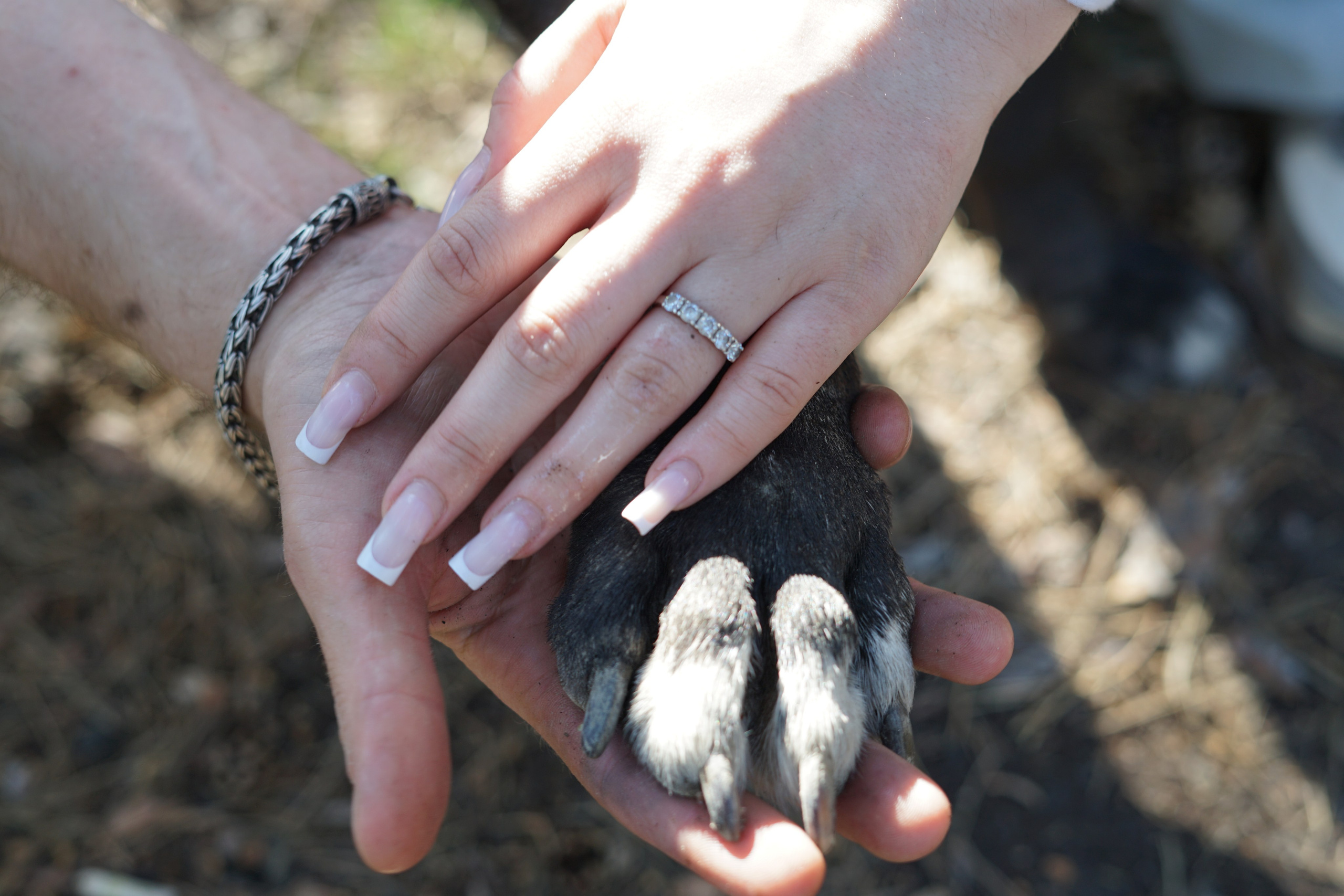 Кирилл, Василиса и Блэк