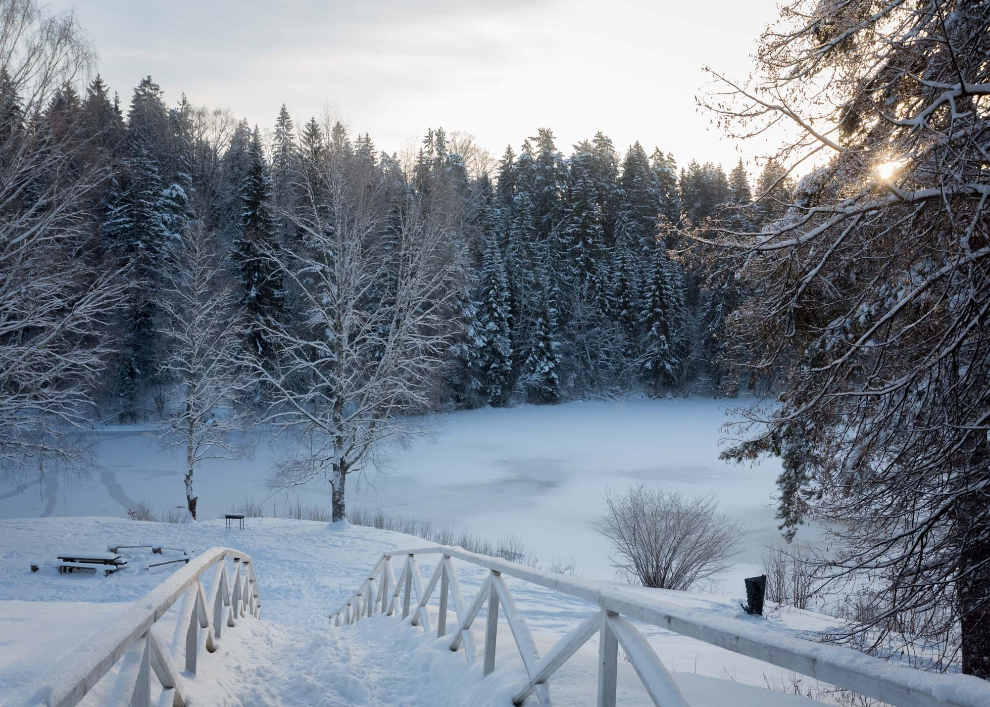 ВЫШНИЙ ВОЛОЧЕК. Контакты