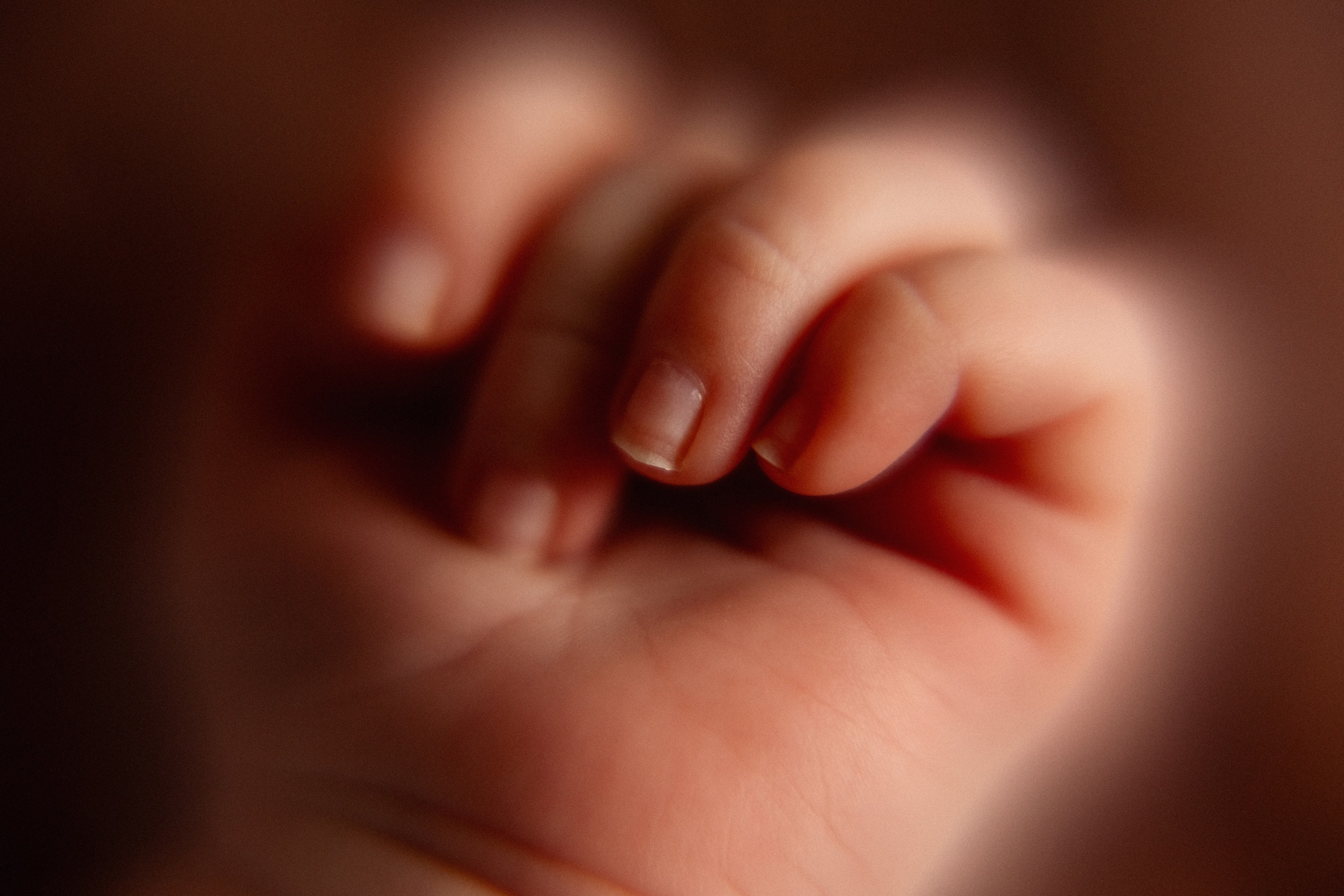 ДОМАШНИЕ ИСТОРИИ. Мария Махинина — фотограф в Мурманске и Североморске