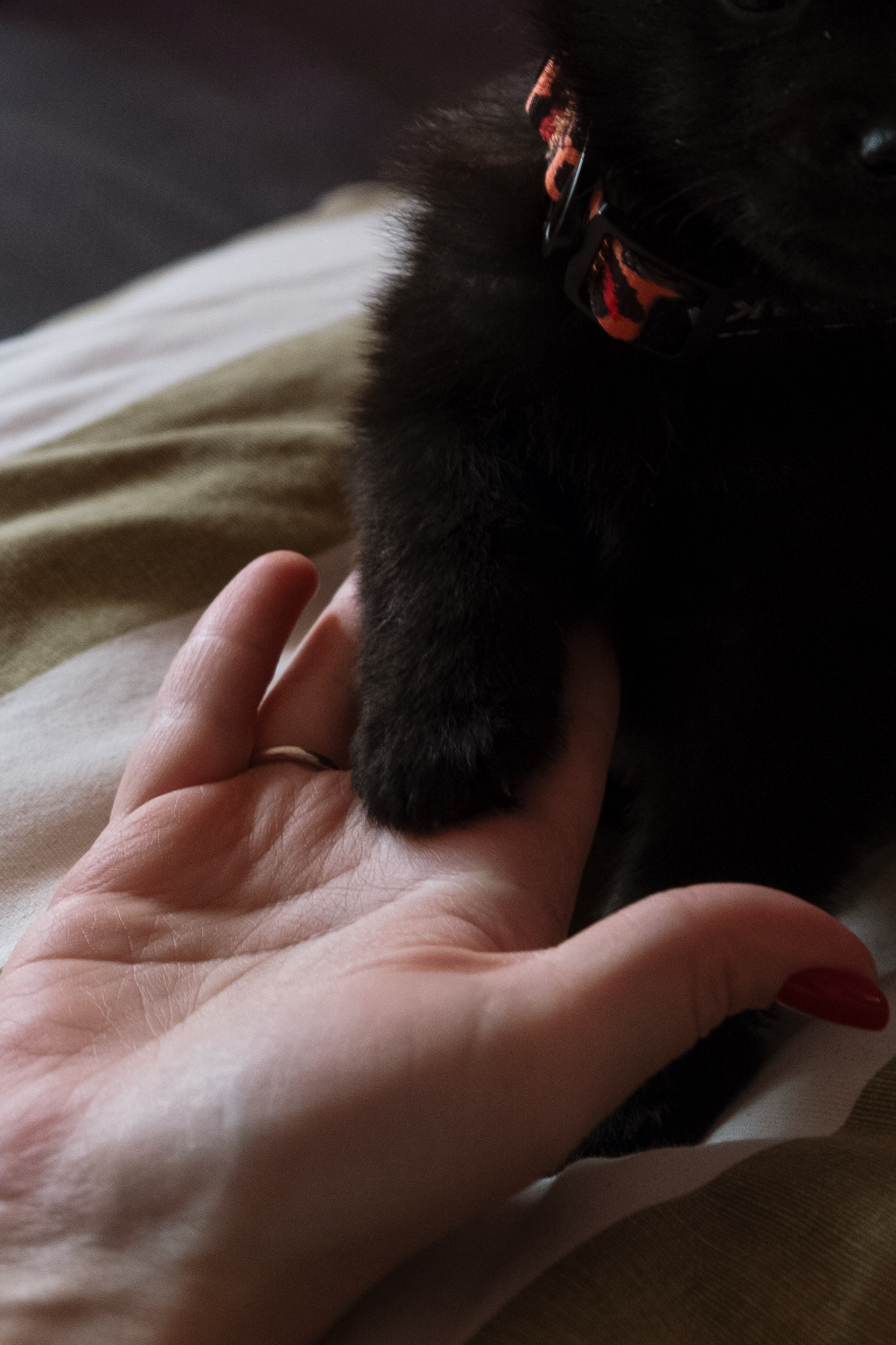 Nataresso | фотограф Москва