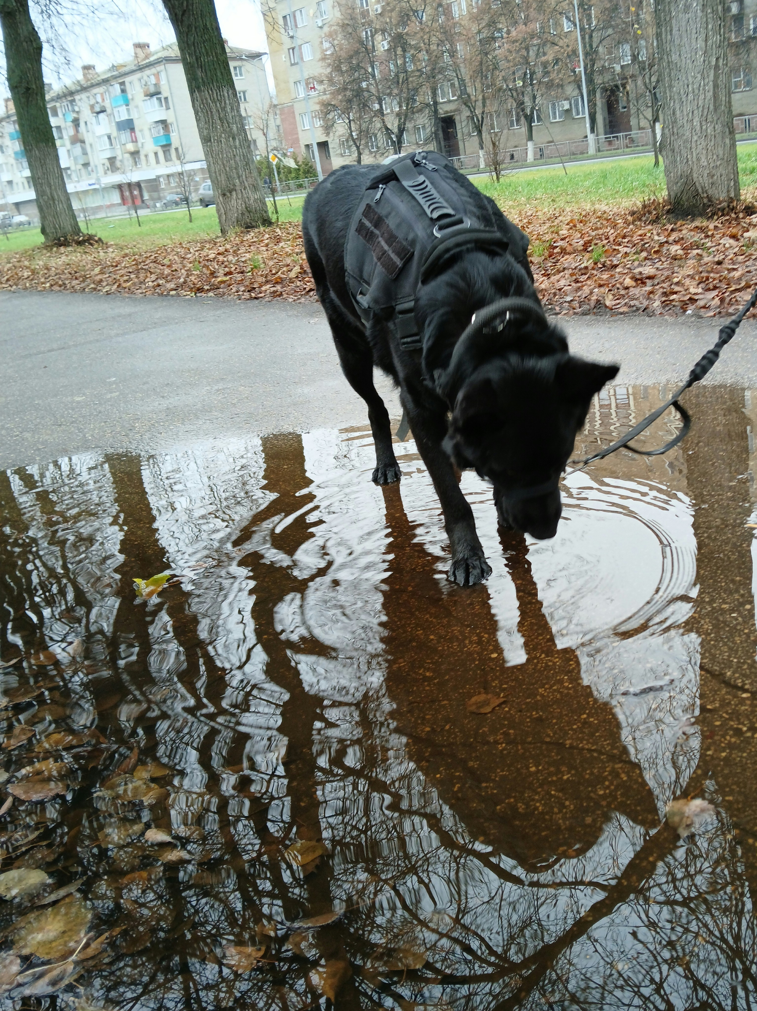 Катя Попова|ЛайфСтайл фотограф